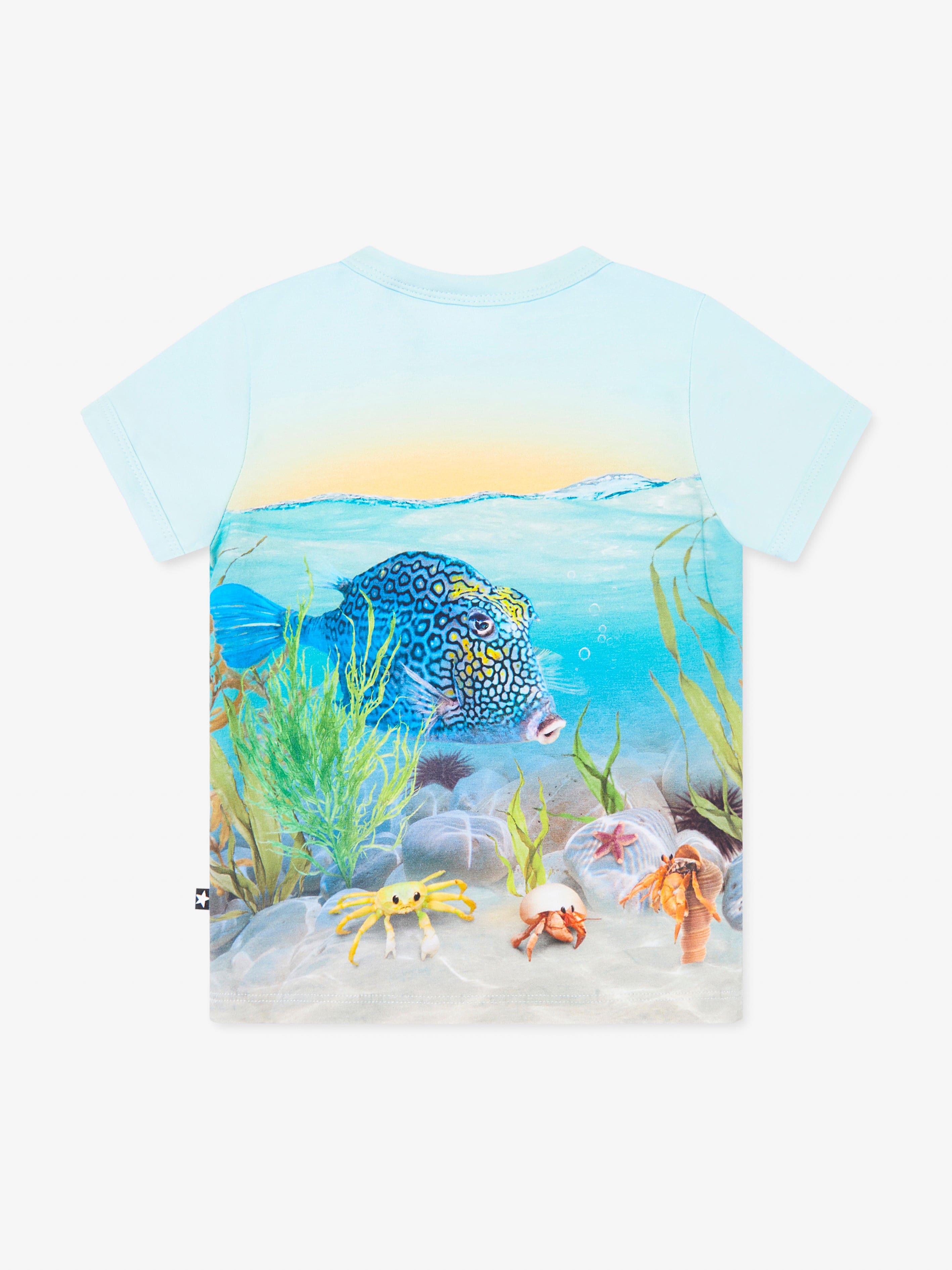 Molo Baby Tropic Sea T-Shirt in Blue