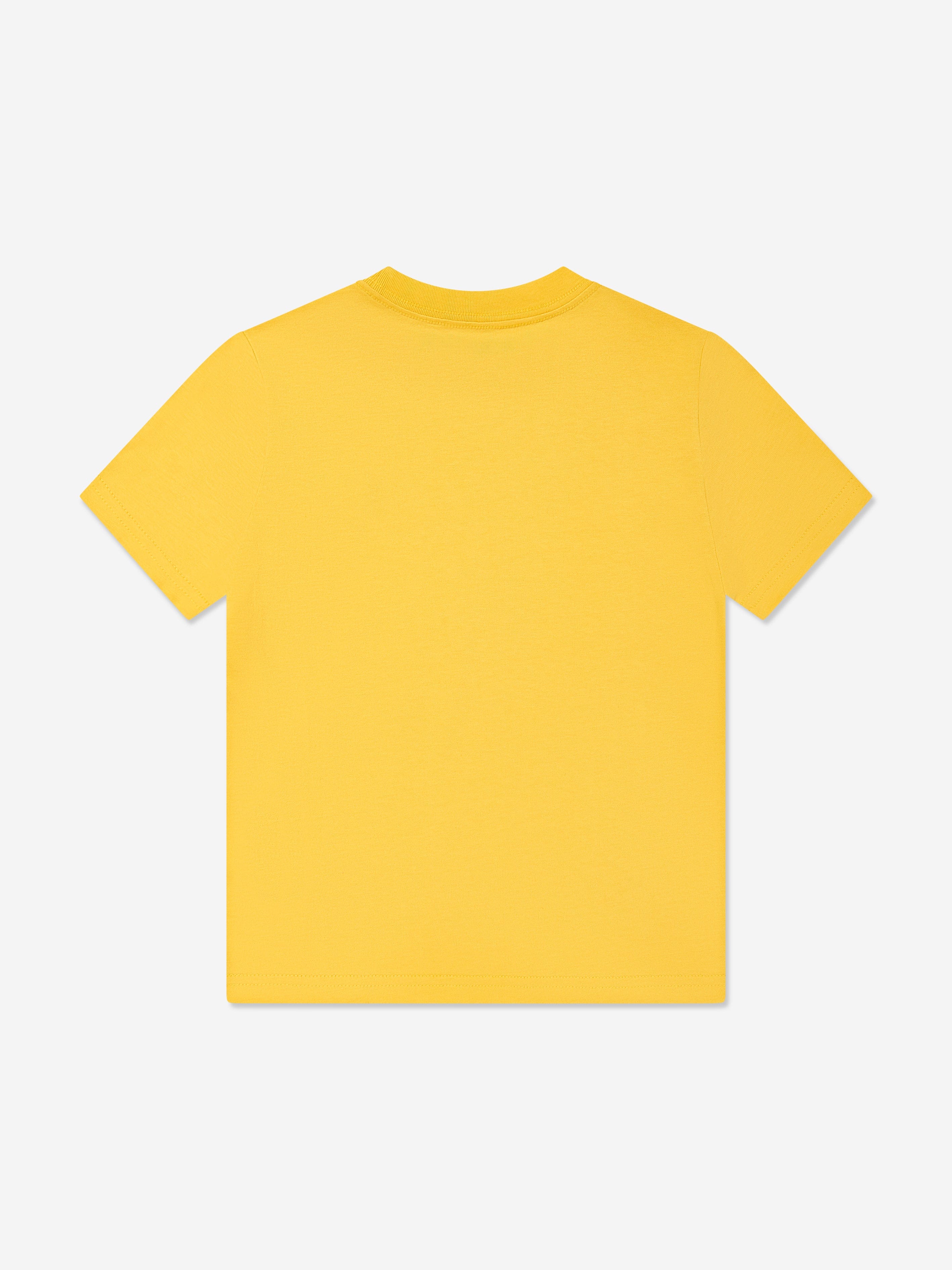 RALS5033_YELLOW_2