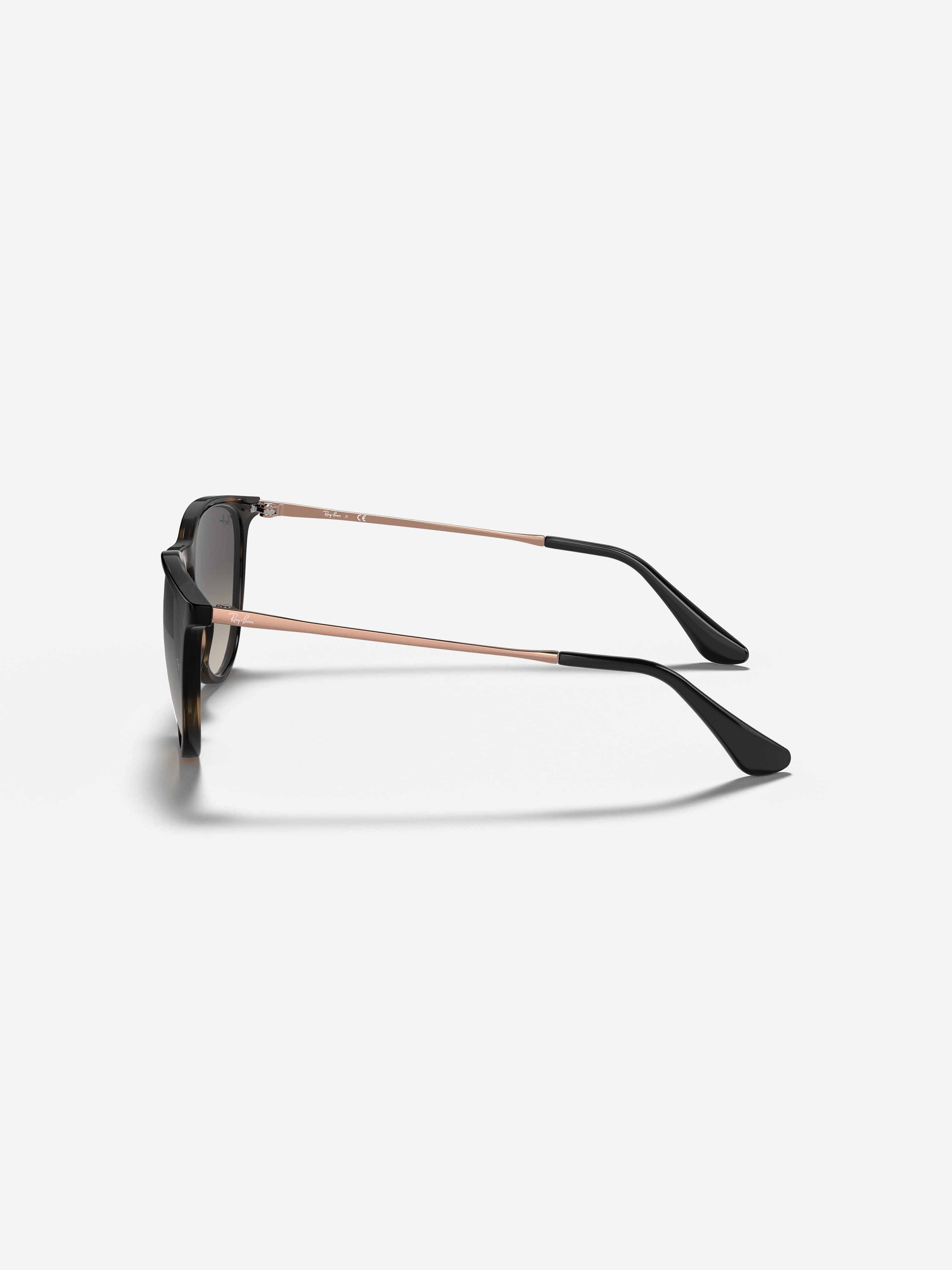 Ray-Ban Kids Erika Sunglasses in Brown