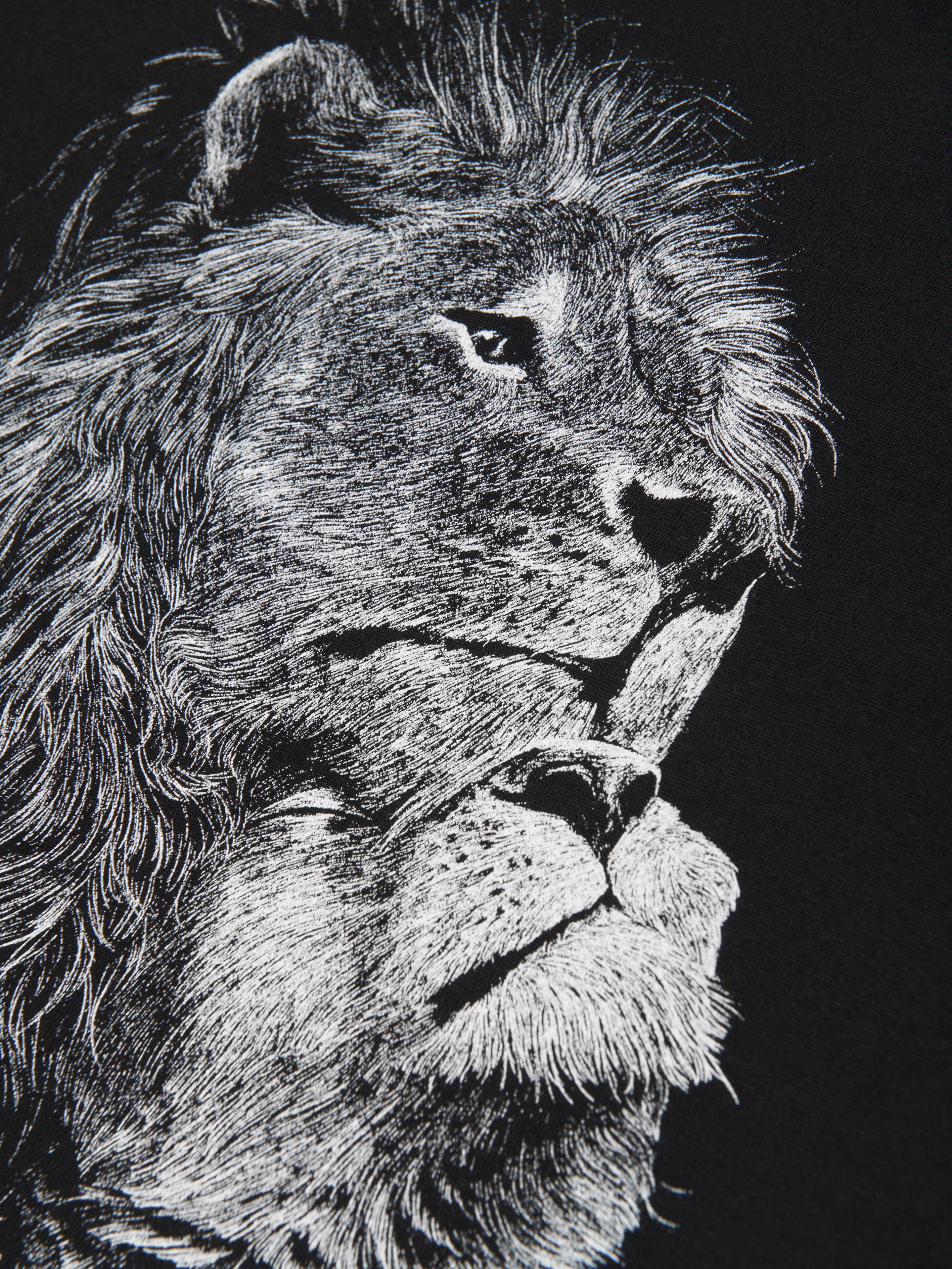 Roberto Cavalli Boys Lions T-Shirt in Black