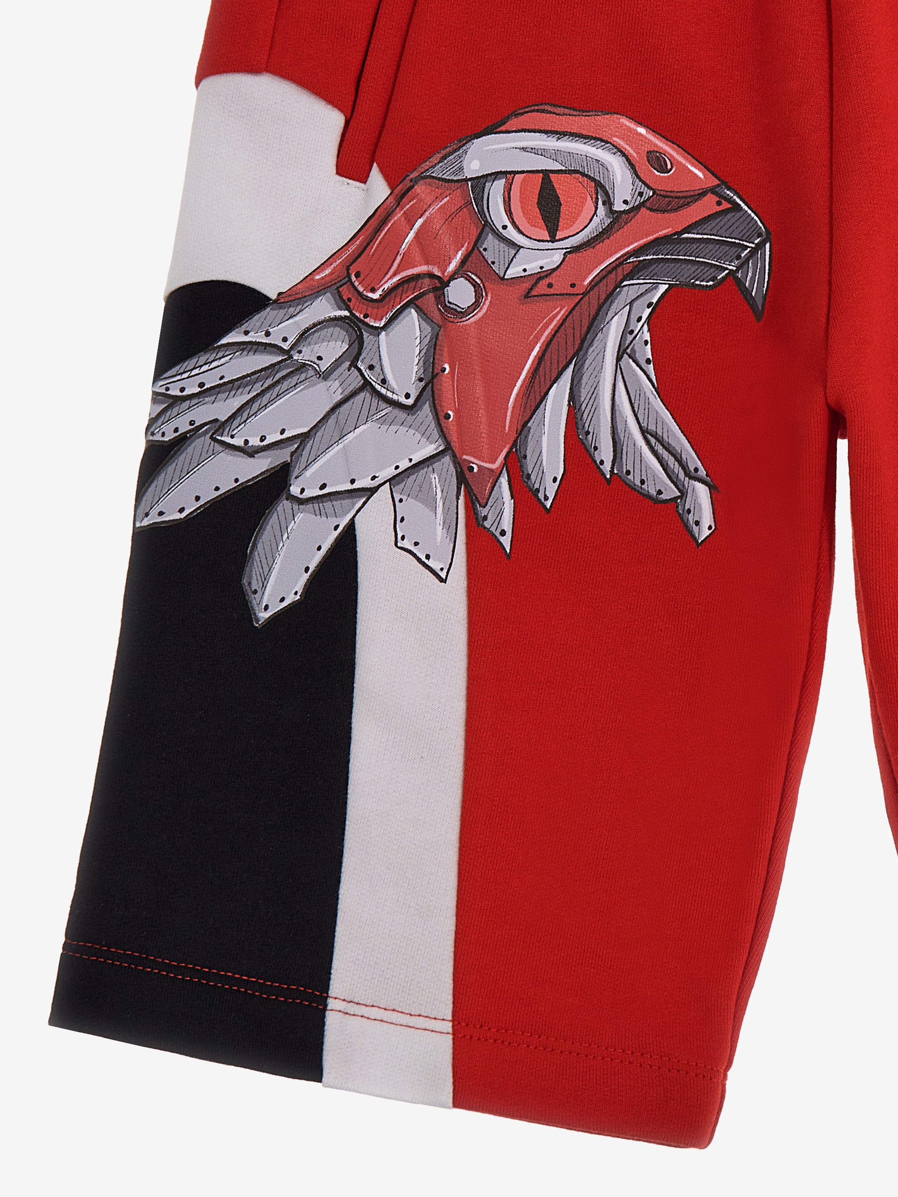 Roberto Cavalli Boys Eagle Shorts in Red