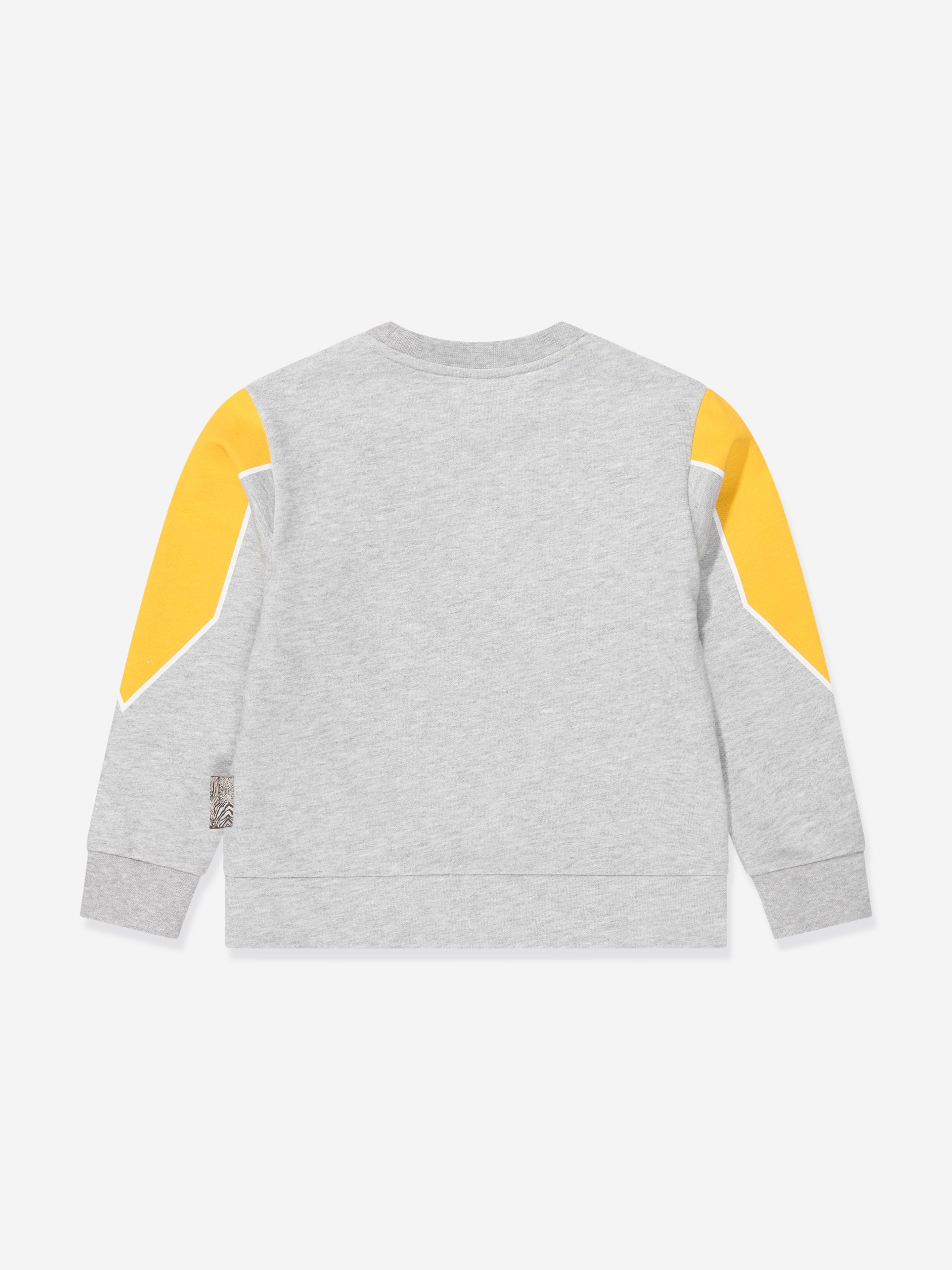 Roberto Cavalli Boys Lion Sweatshirt in Grey