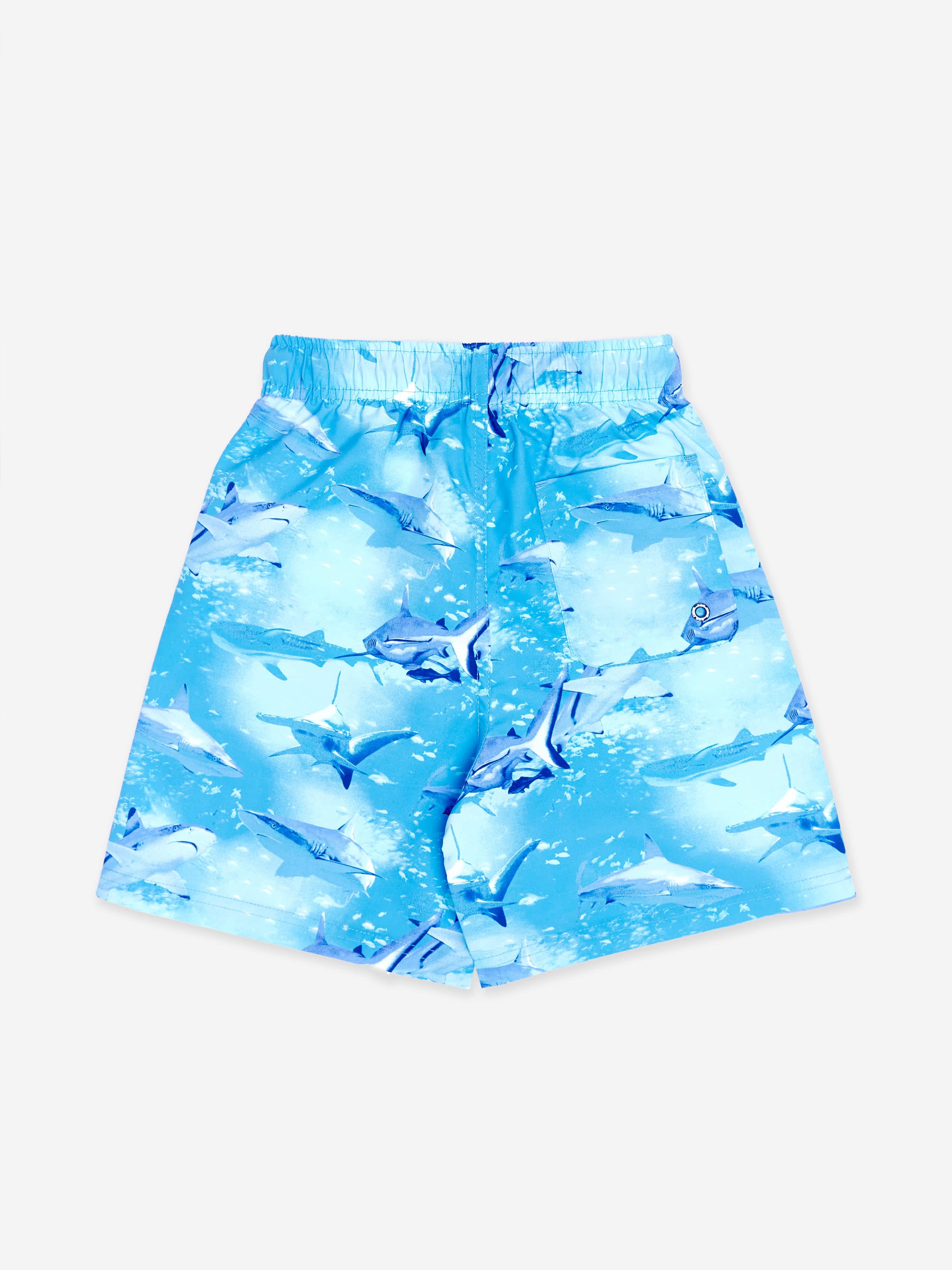 Soli Swim Boys Shark Beach Shorts in Blue (UPF50+)