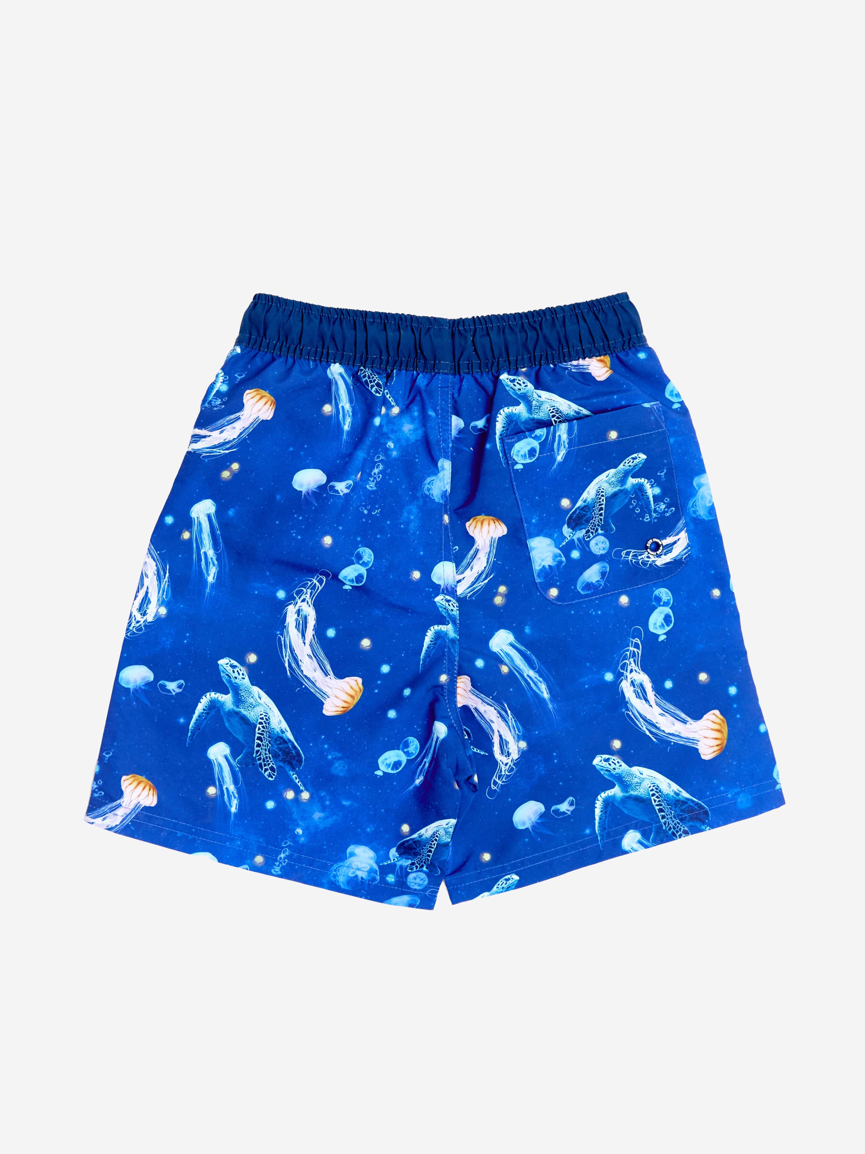 Soli Swim Boys Turtle Beach Shorts in Blue (UPF50+)
