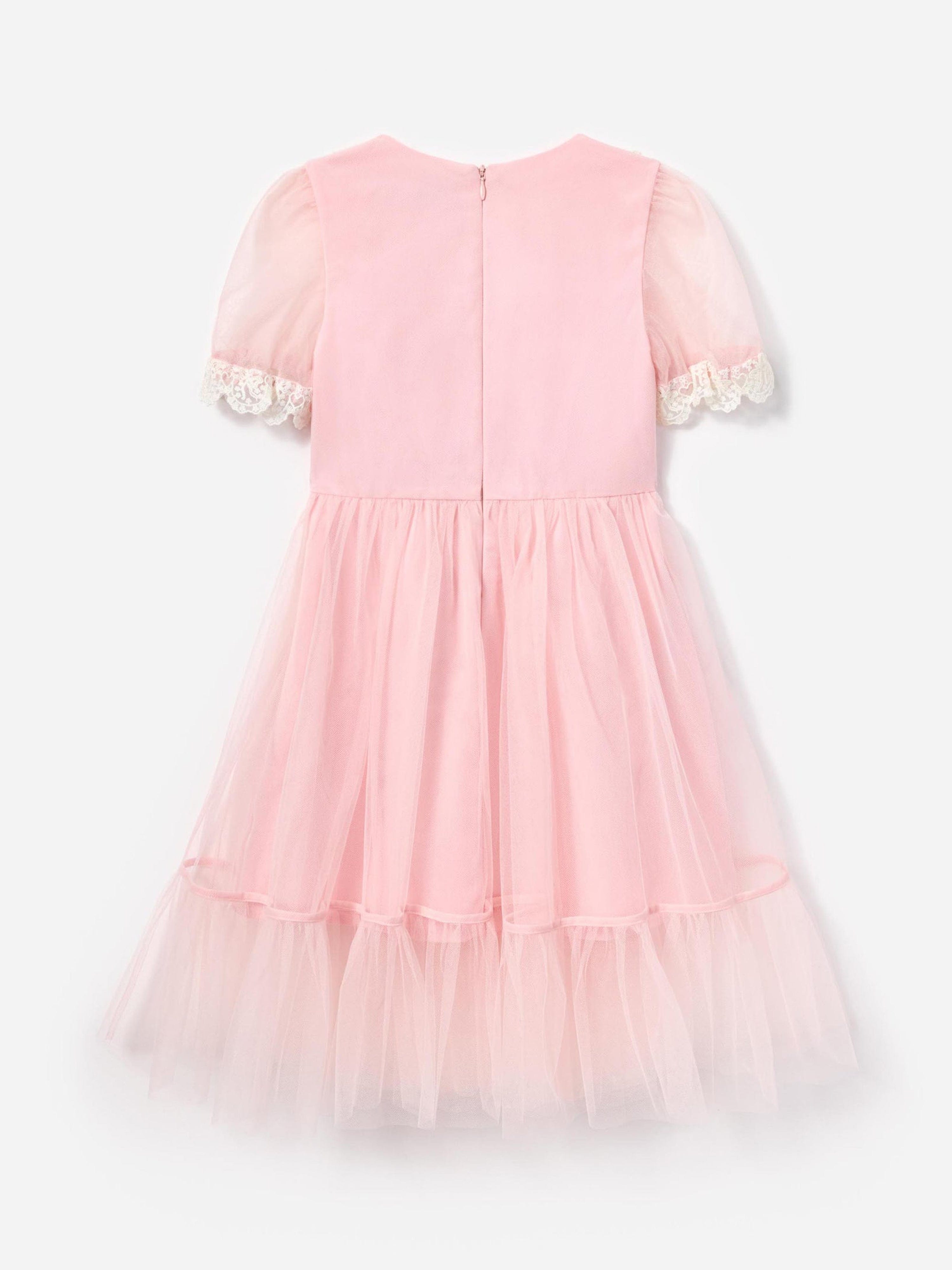 Girls Tulle Dress in Pink