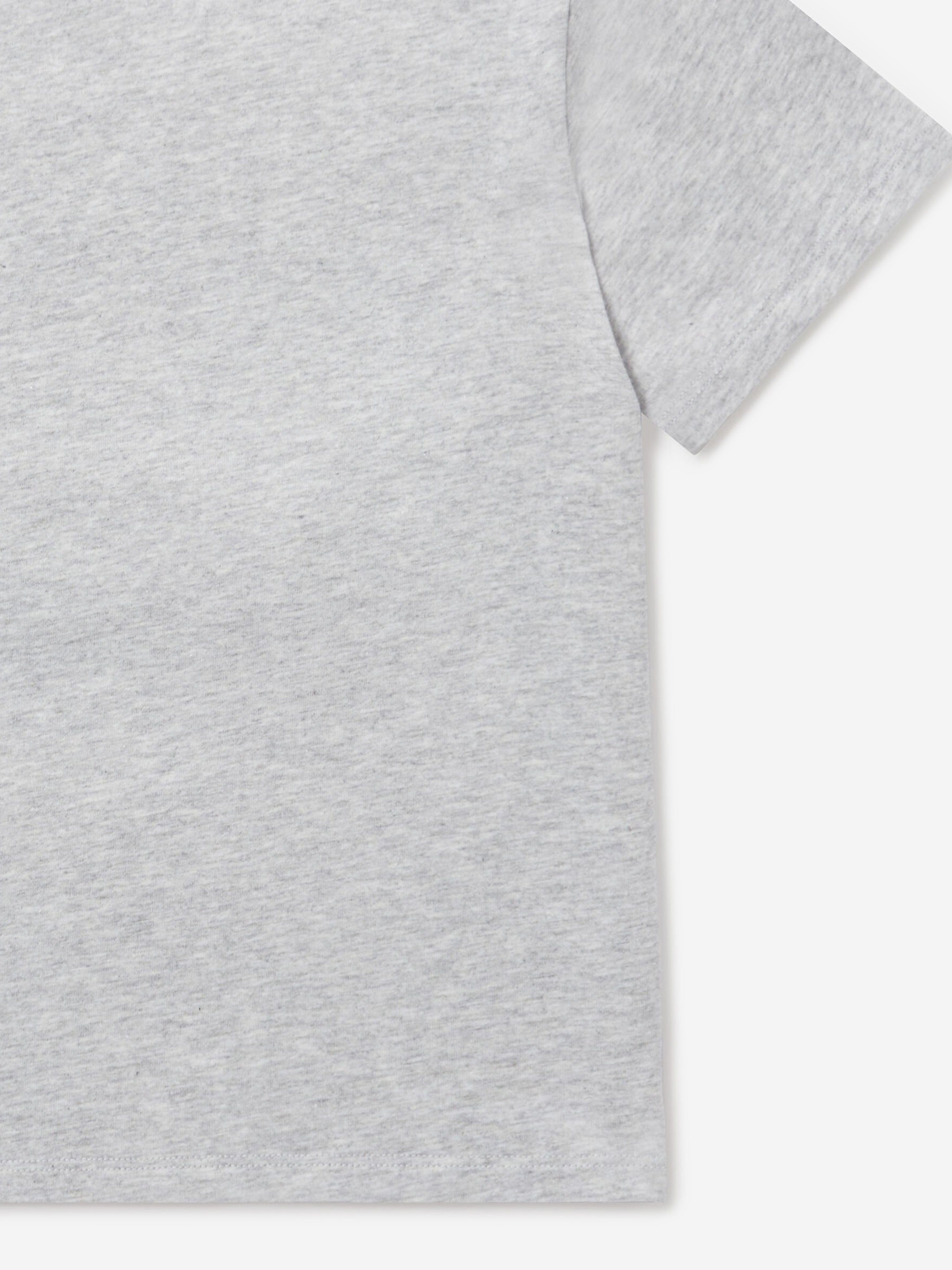 Stella McCartney Boys Spider Print T-Shirt in Grey
