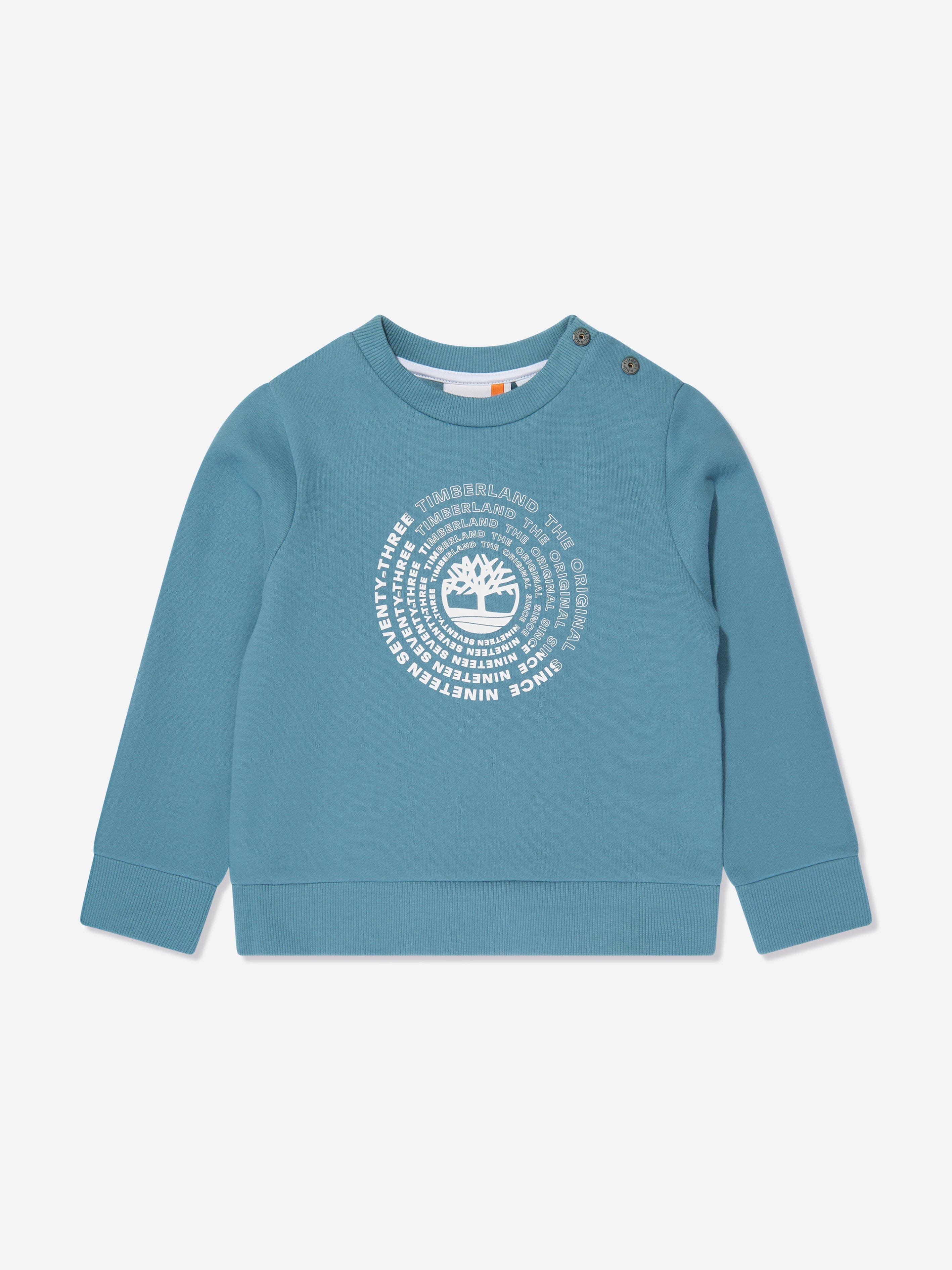 Timberland Baby Boys Logo Sweatshirt in Blue