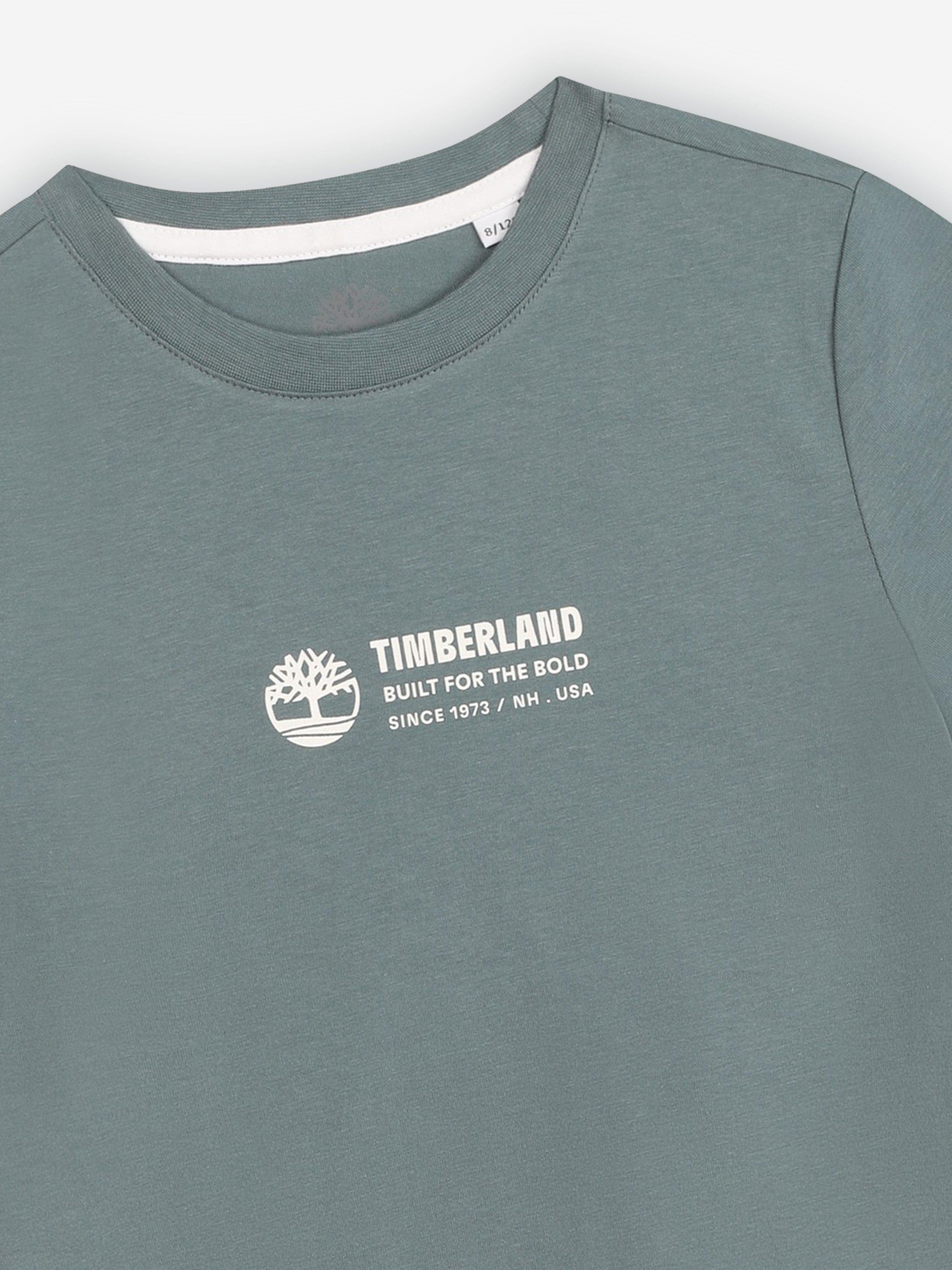 Timberland Boys Logo Print T-Shirt in Blue