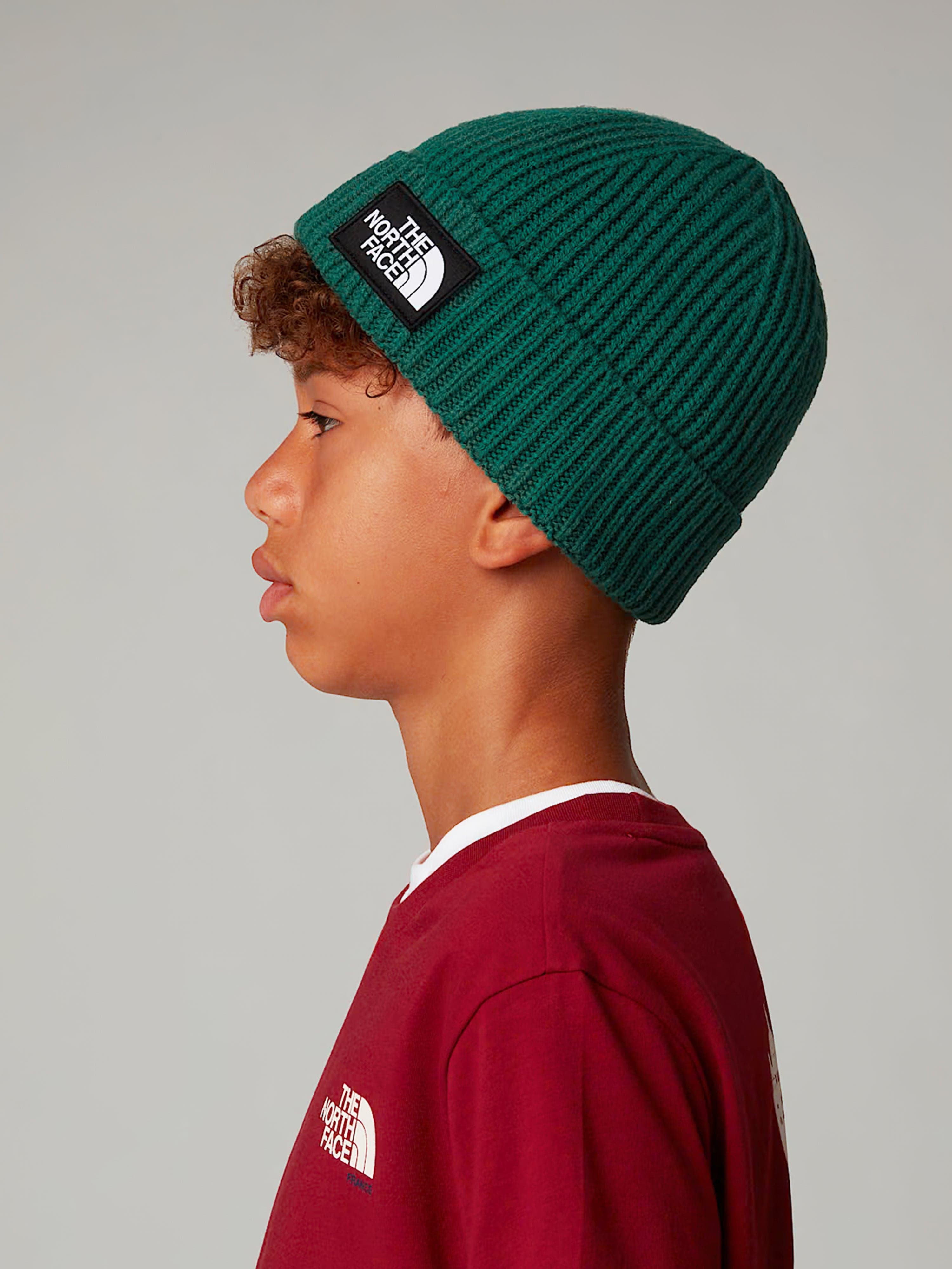 The North Face Kids TNF Box Logo Cuffed Beanie in Green