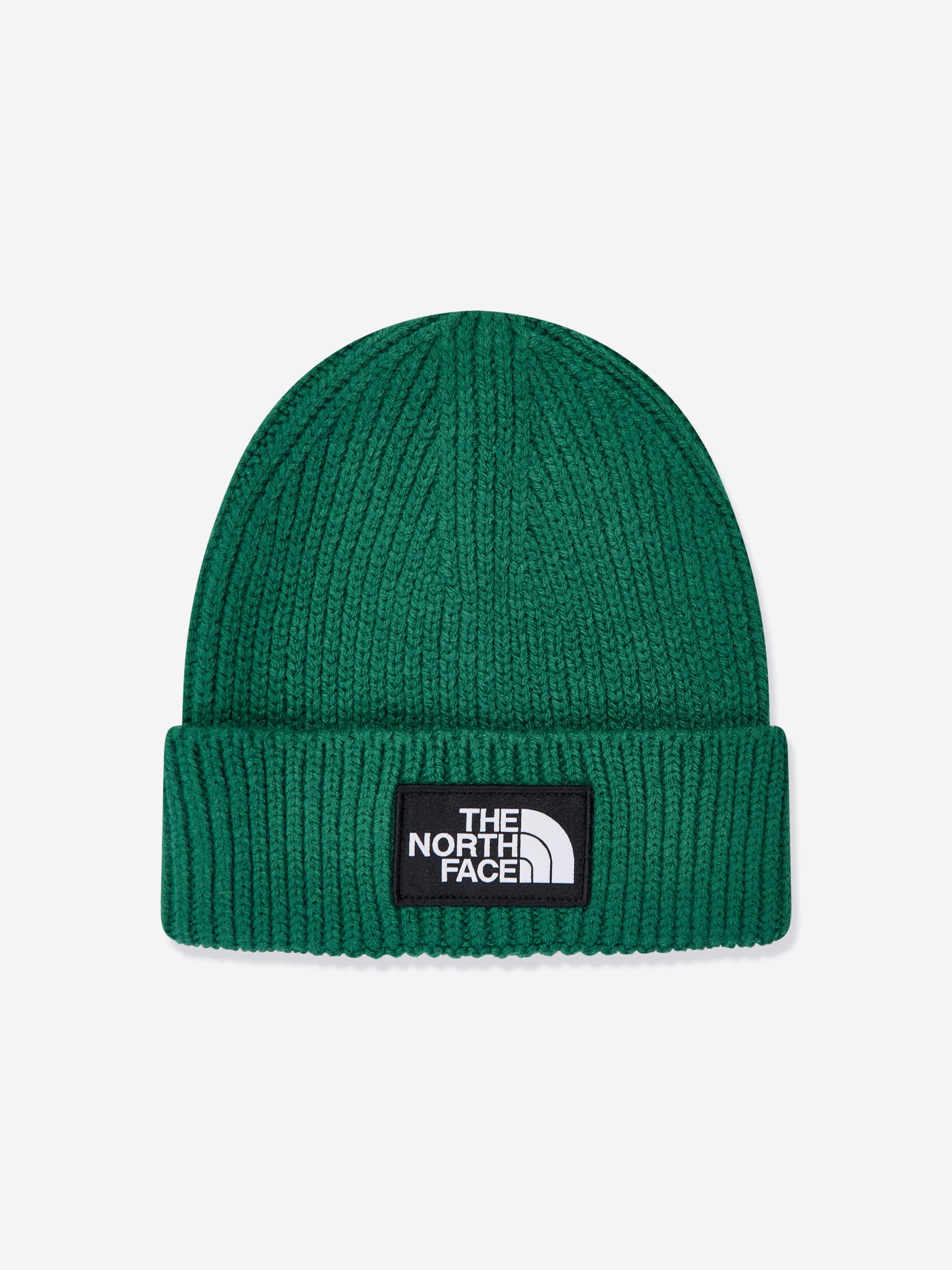 The North Face Kids TNF Box Logo Cuffed Beanie in Green