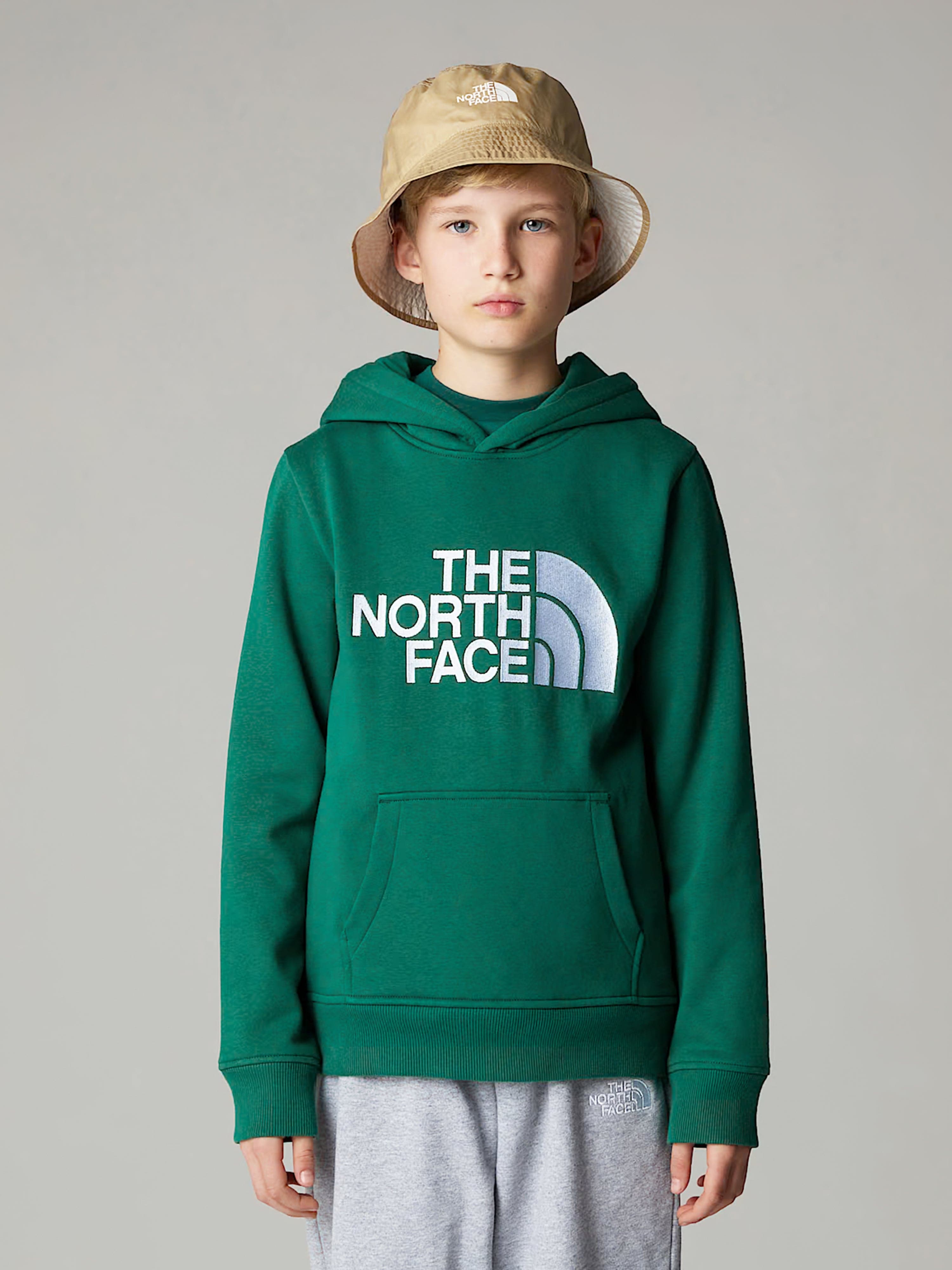 The North Face Boys Drew Peak Hoodie in Green