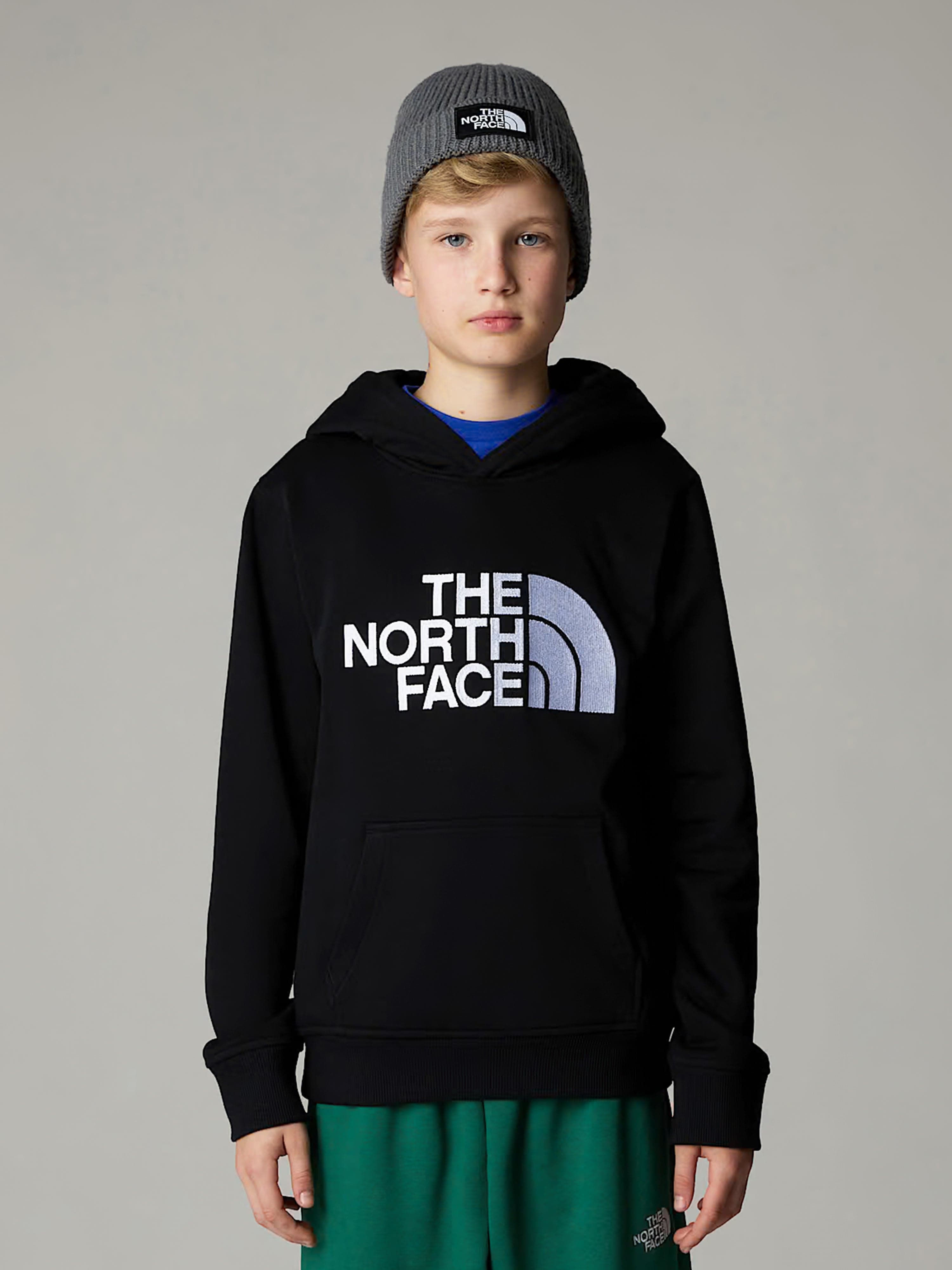 The North Face Boys Drew Peak Hoodie in Black