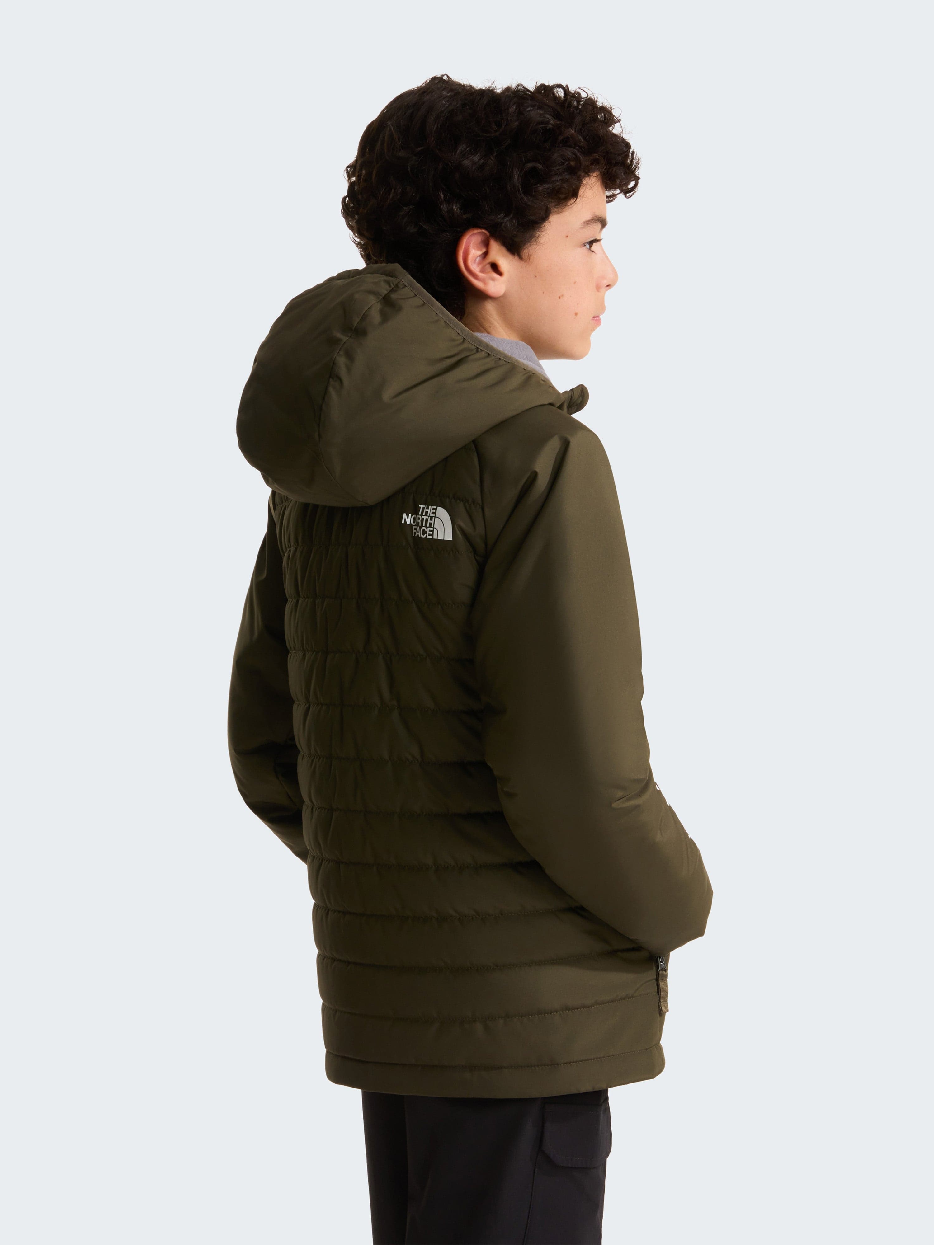 The North Face Boys Never Stop Synthetic Jacket in Green