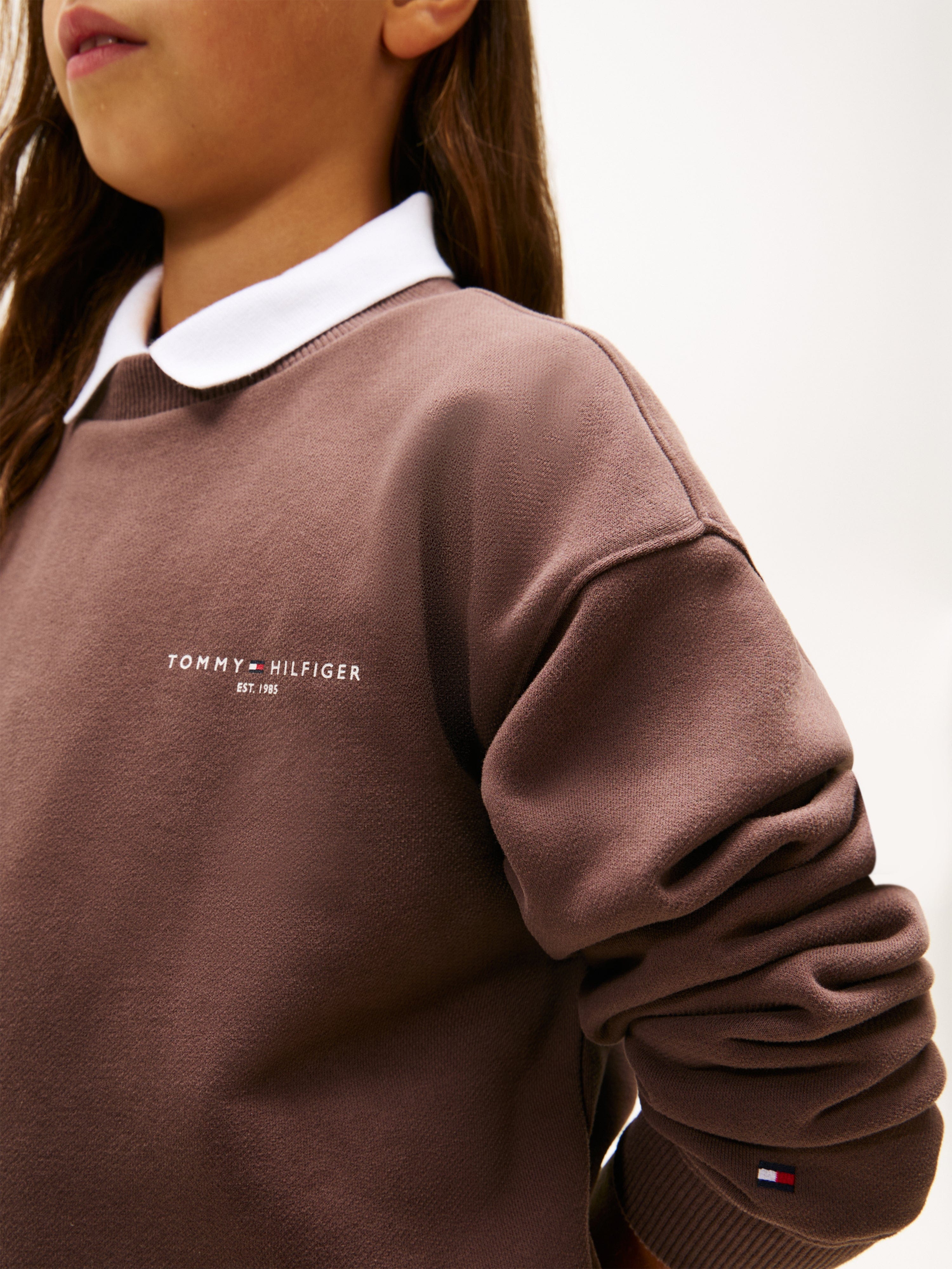 Tommy Hilfiger Kids Mini Corp Sweatshirt in Brown