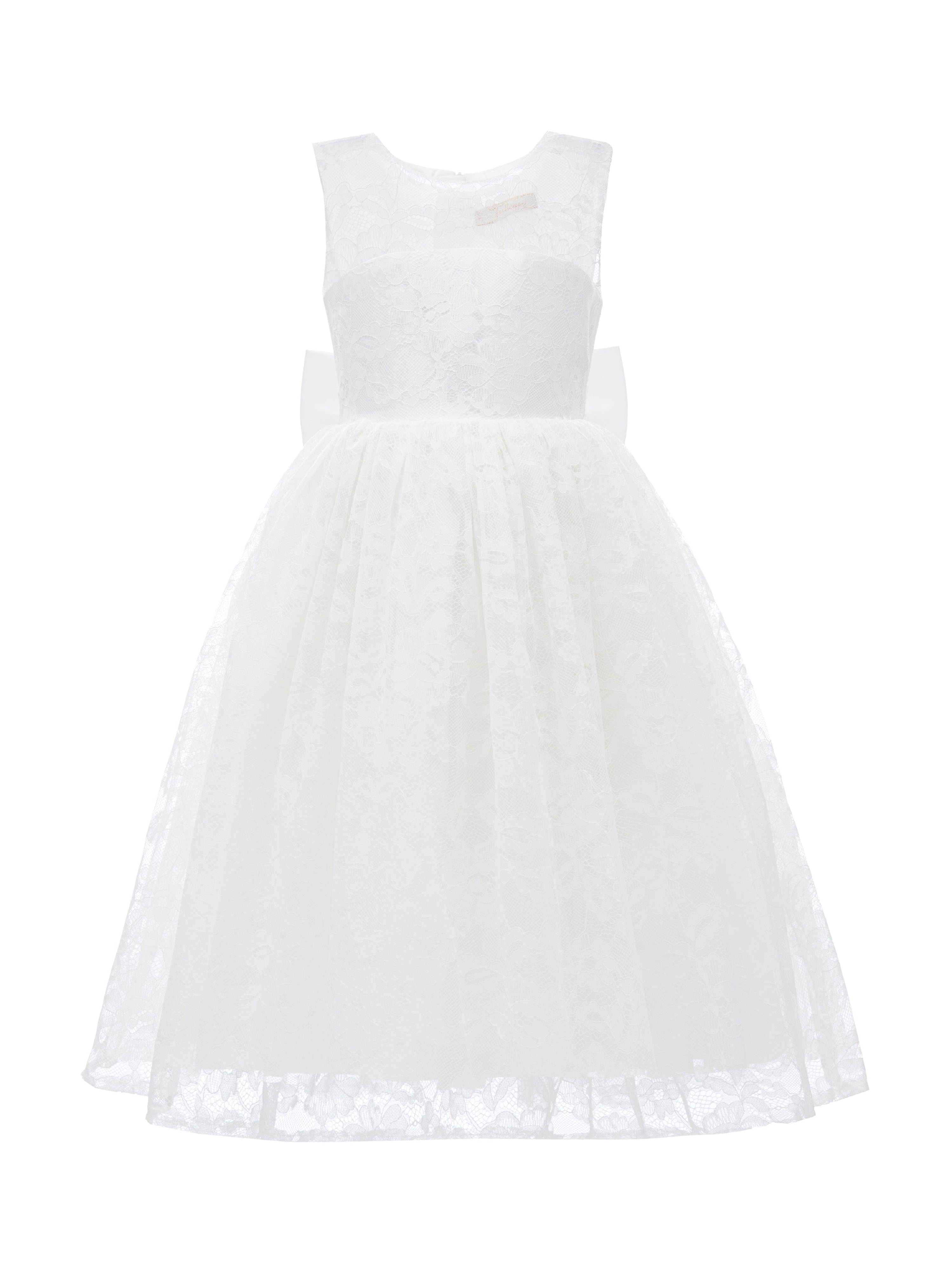 White Rossemere Lace Embroidered Tulle Dress