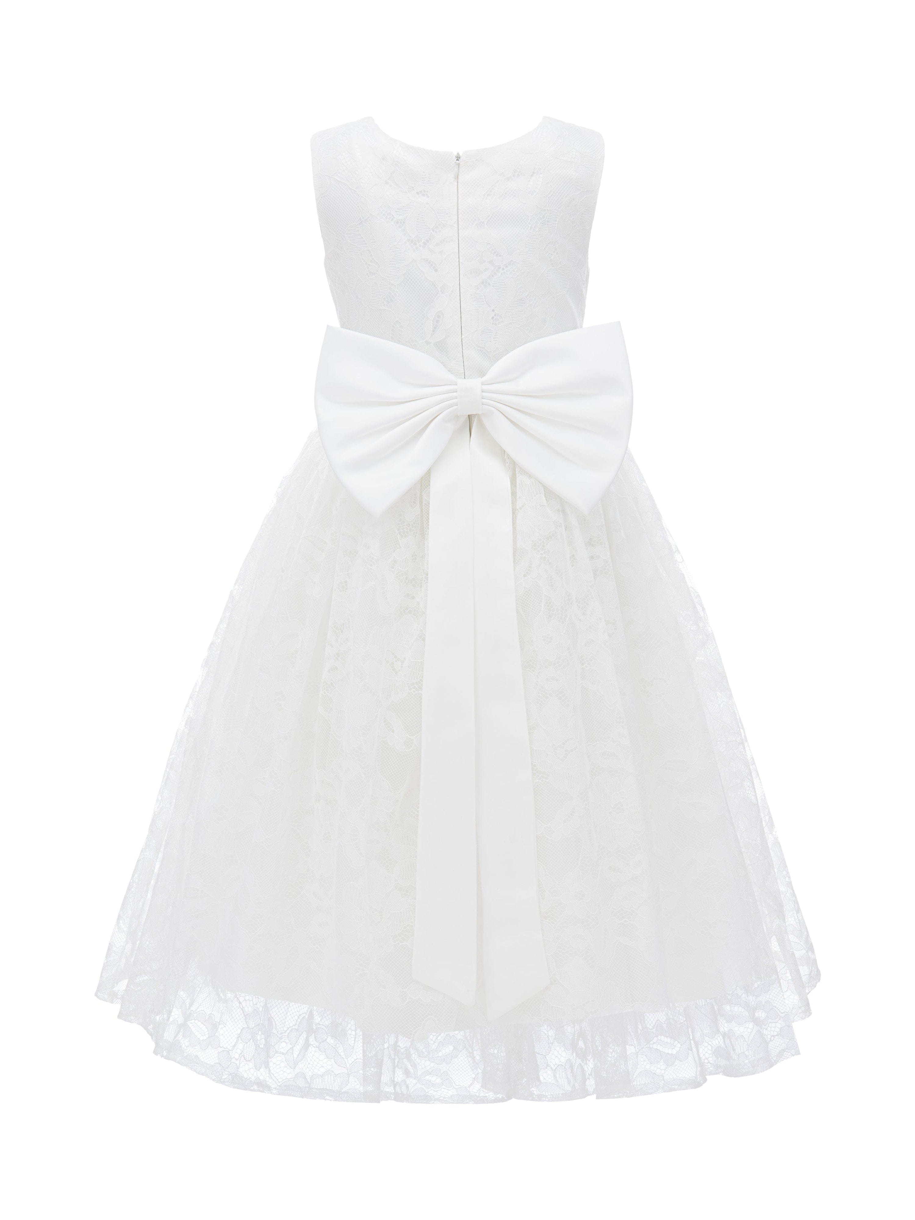 White Rossemere Lace Embroidered Tulle Dress