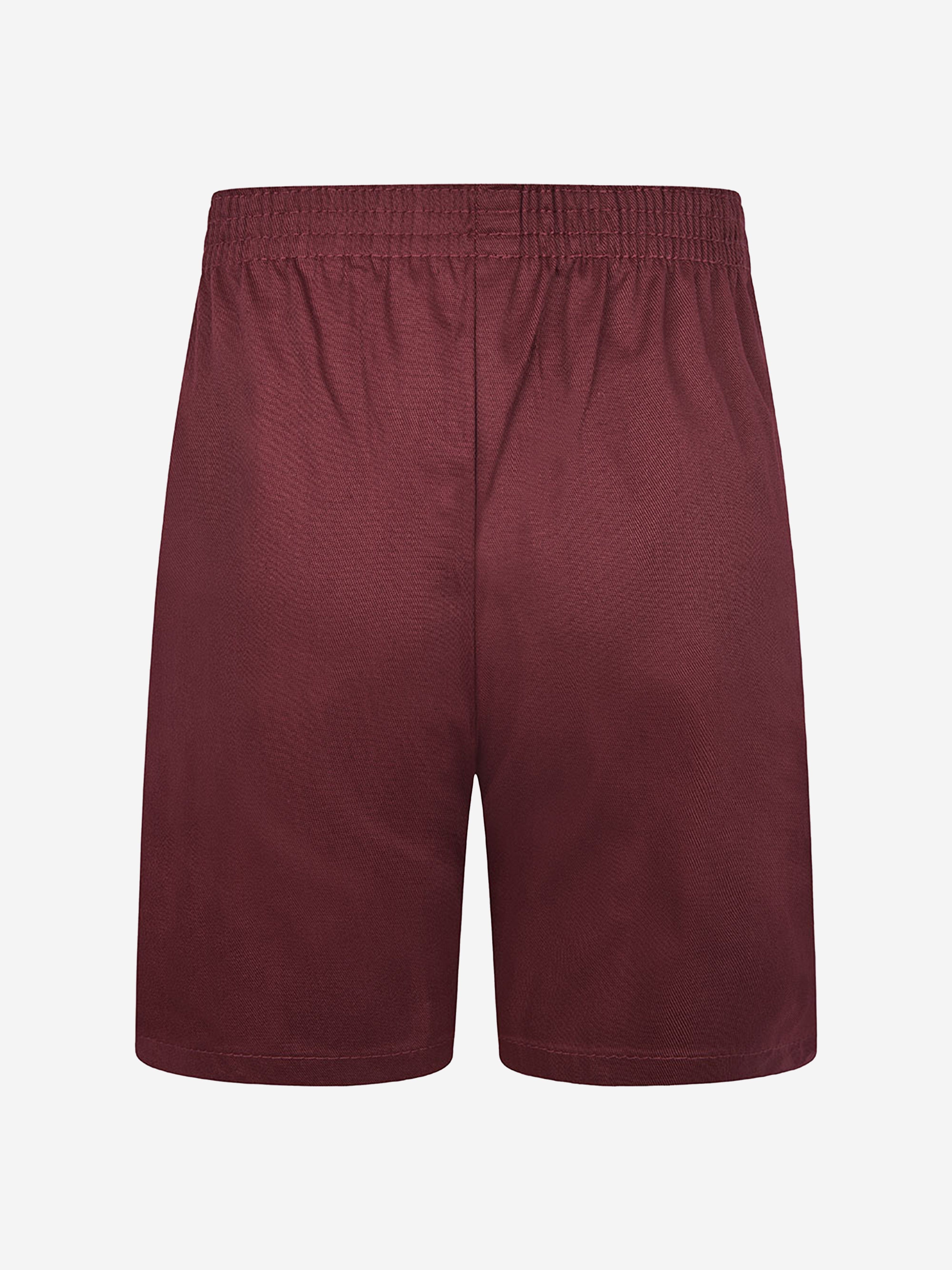 Zeco Kids School Polycotton PE Shorts in Purple