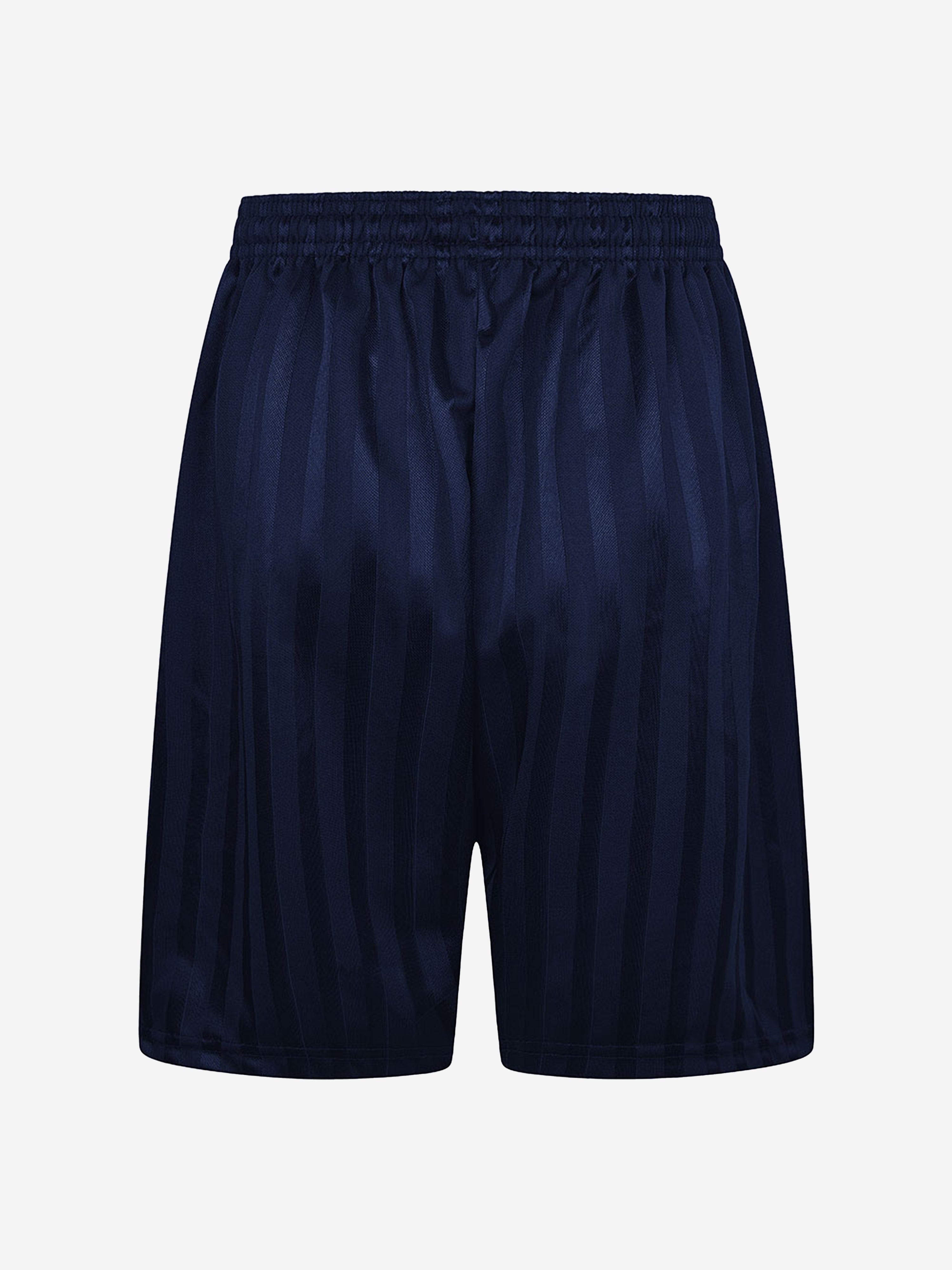 Zeco Kids School Shadow Stripe Shorts in Navy