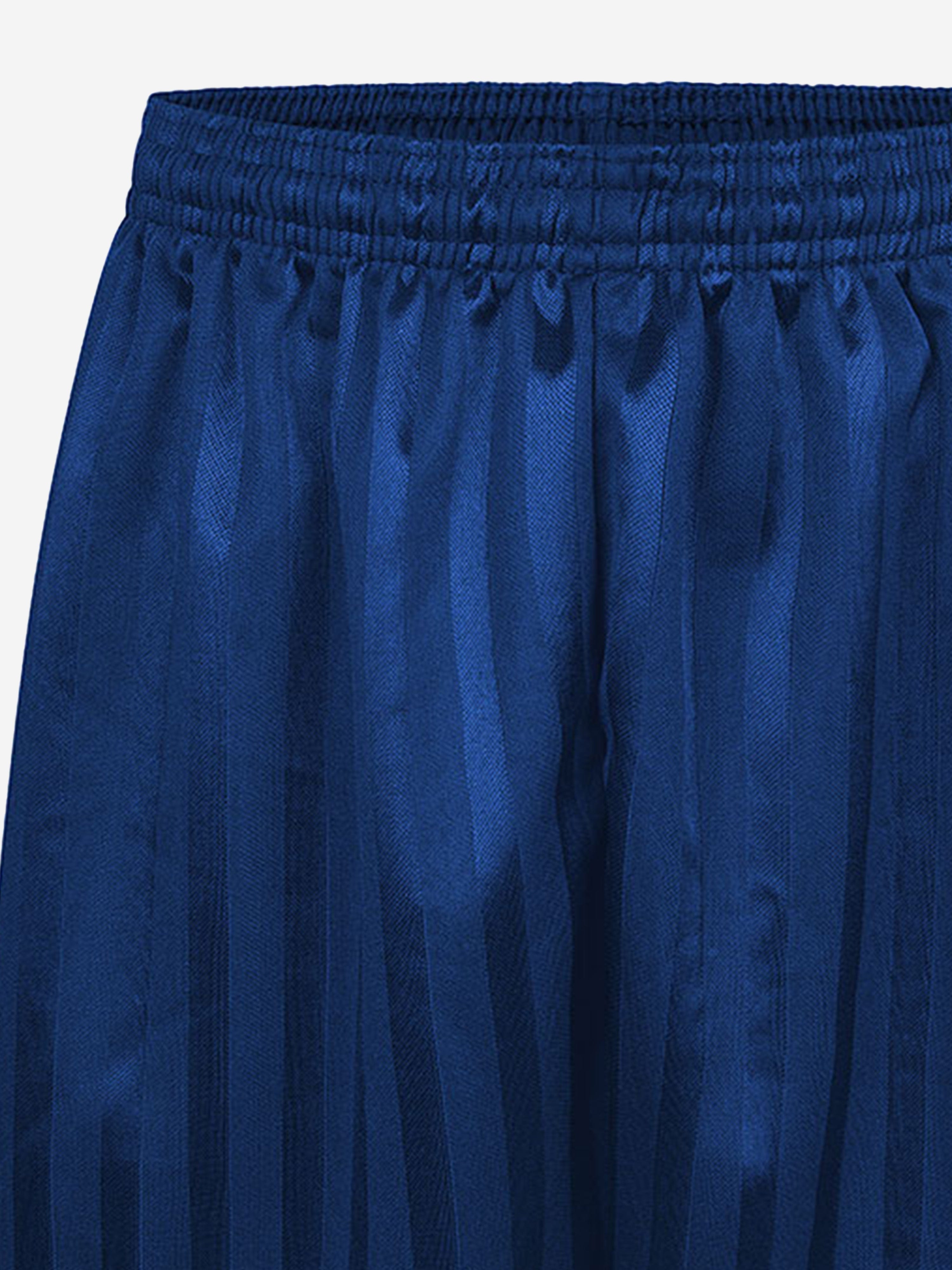 Zeco Kids School Shadow Stripe Shorts in Blue