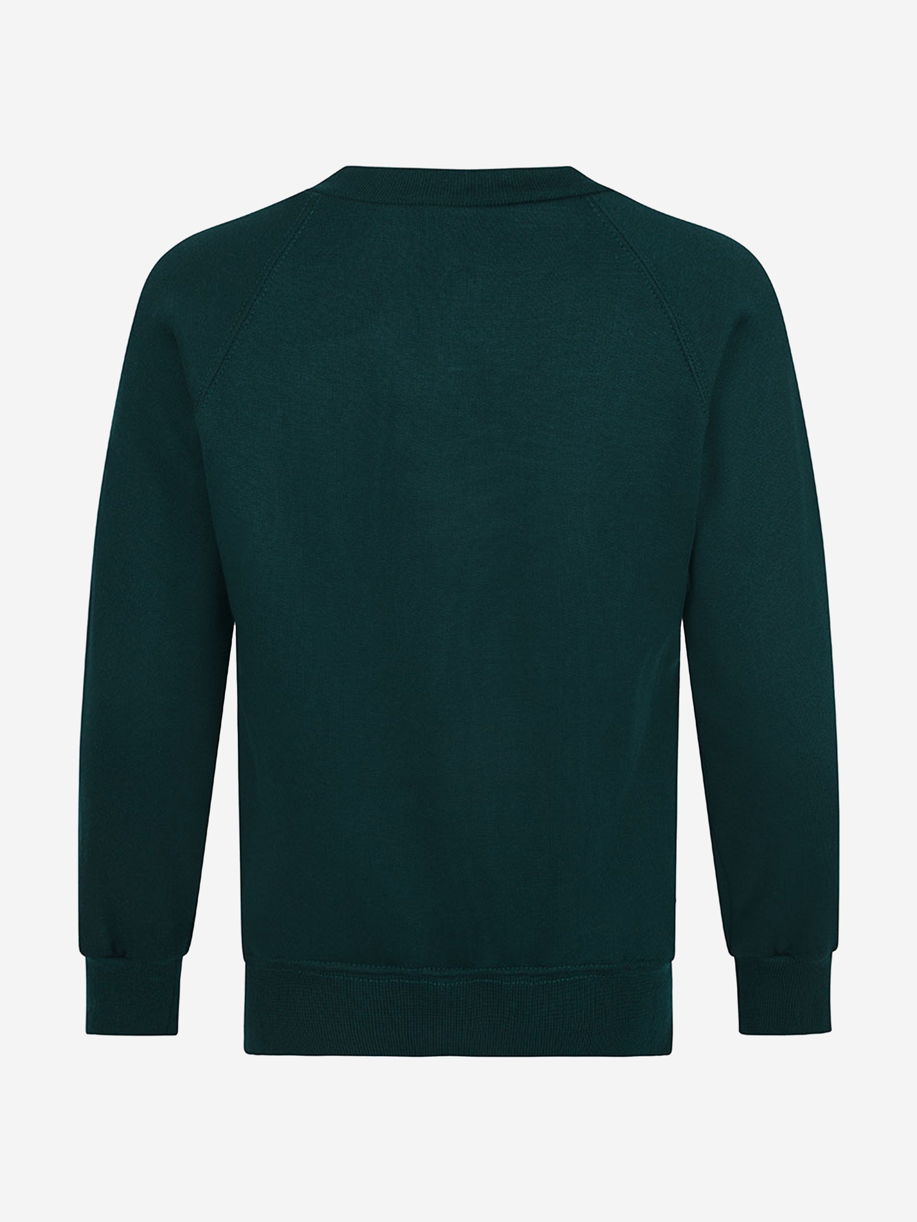 Zeco Kids School V-Neck Sweatshirt in Green