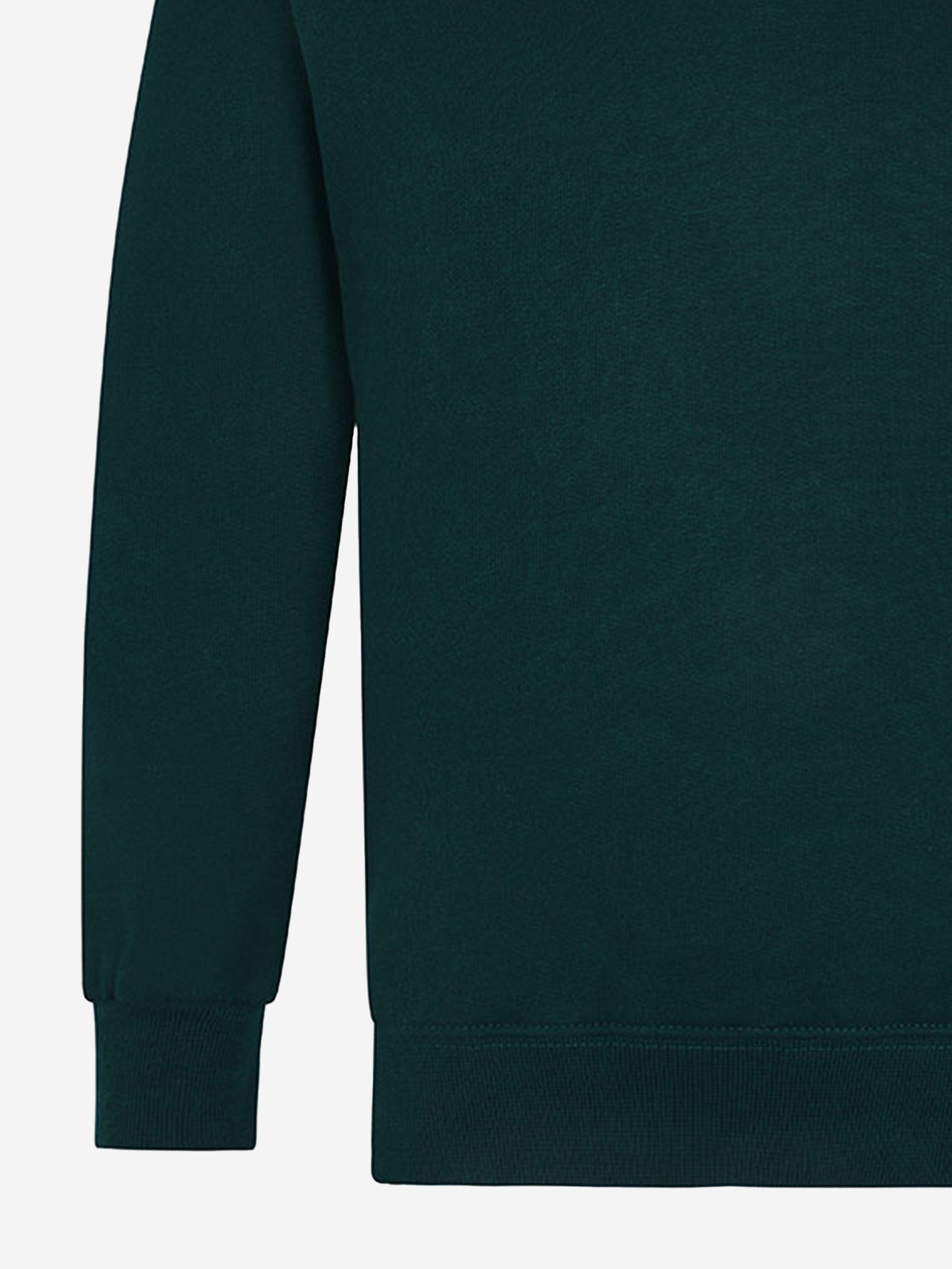 Zeco Kids School V-Neck Sweatshirt in Green