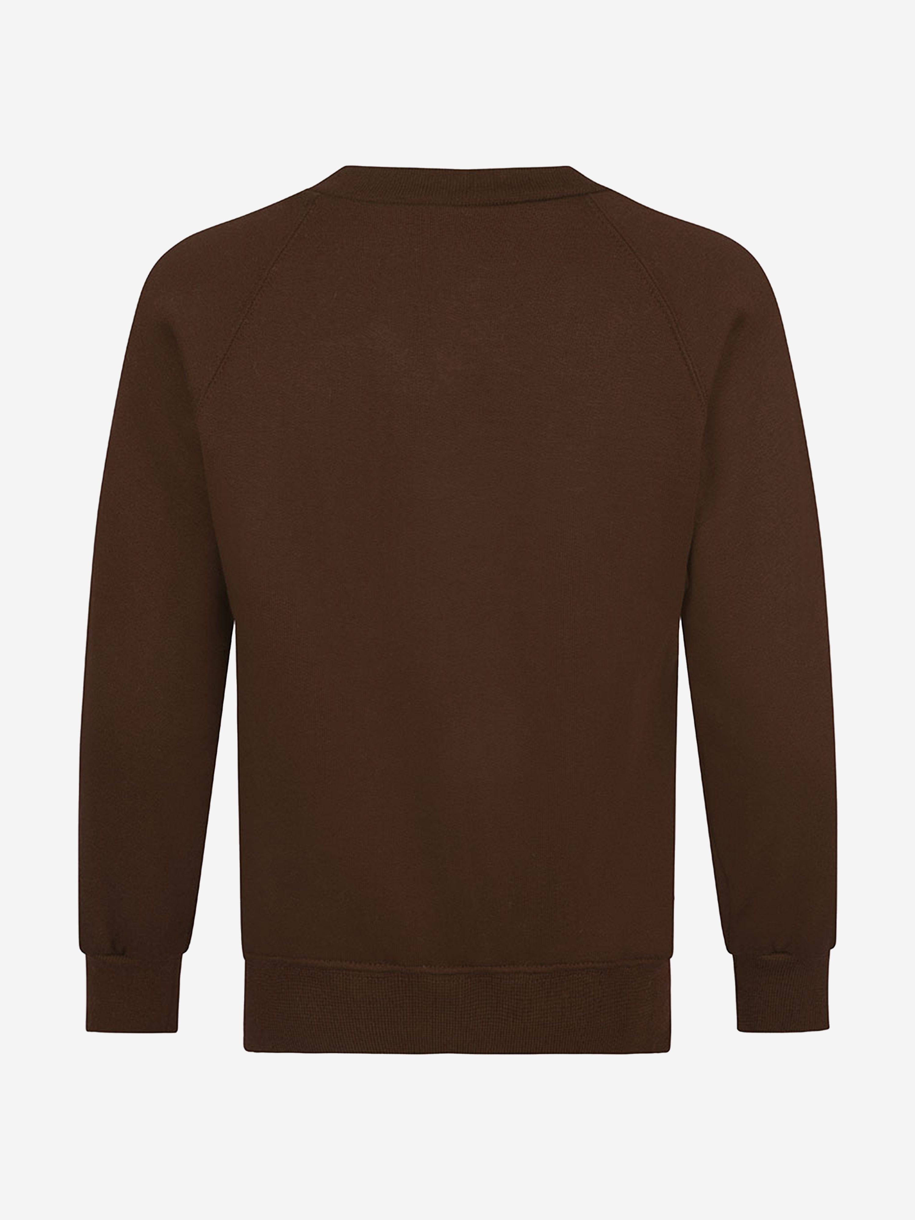 Zeco Kids School V-Neck Sweatshirt in Brown