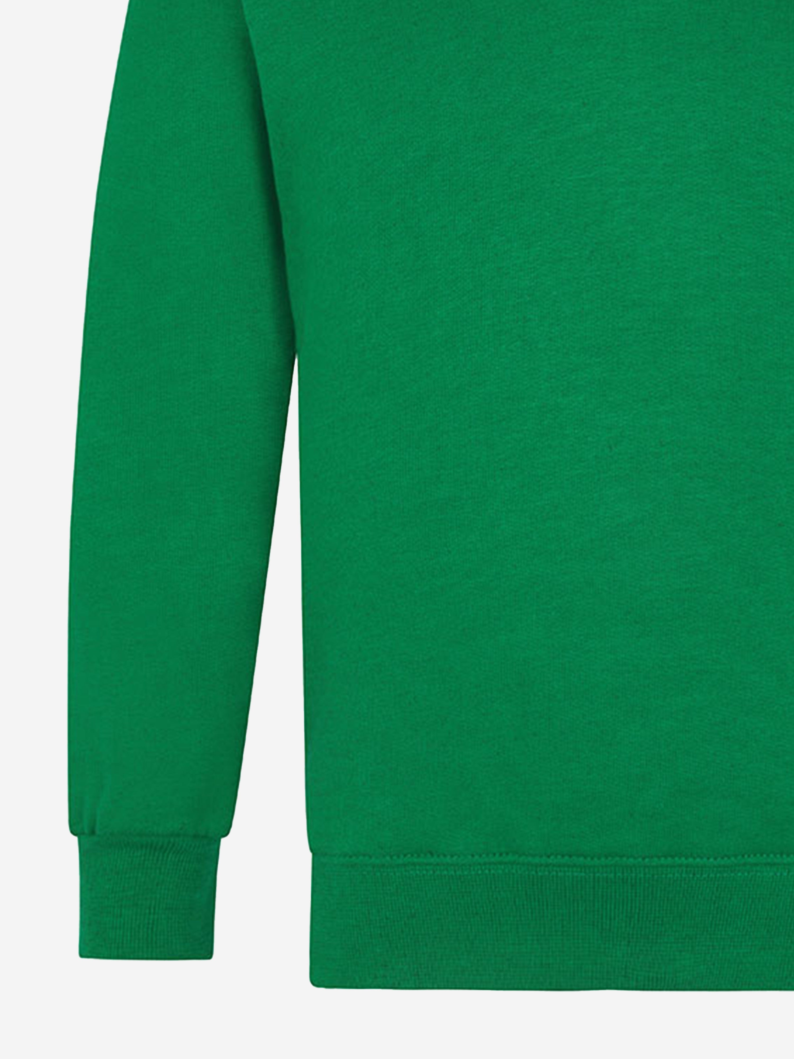 Zeco Kids School V-Neck Sweatshirt in Green