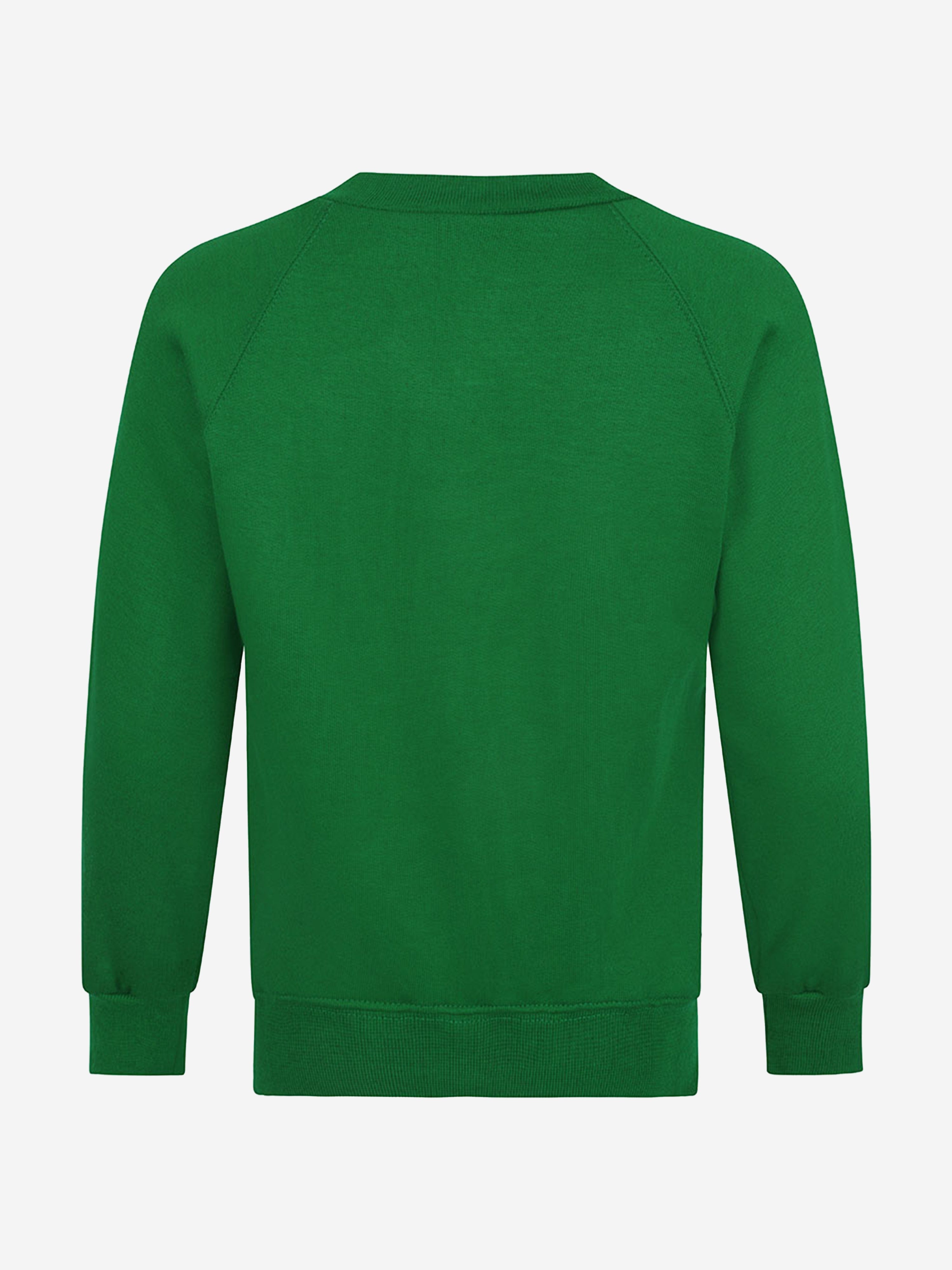 Zeco Kids School V-Neck Sweatshirt in Green