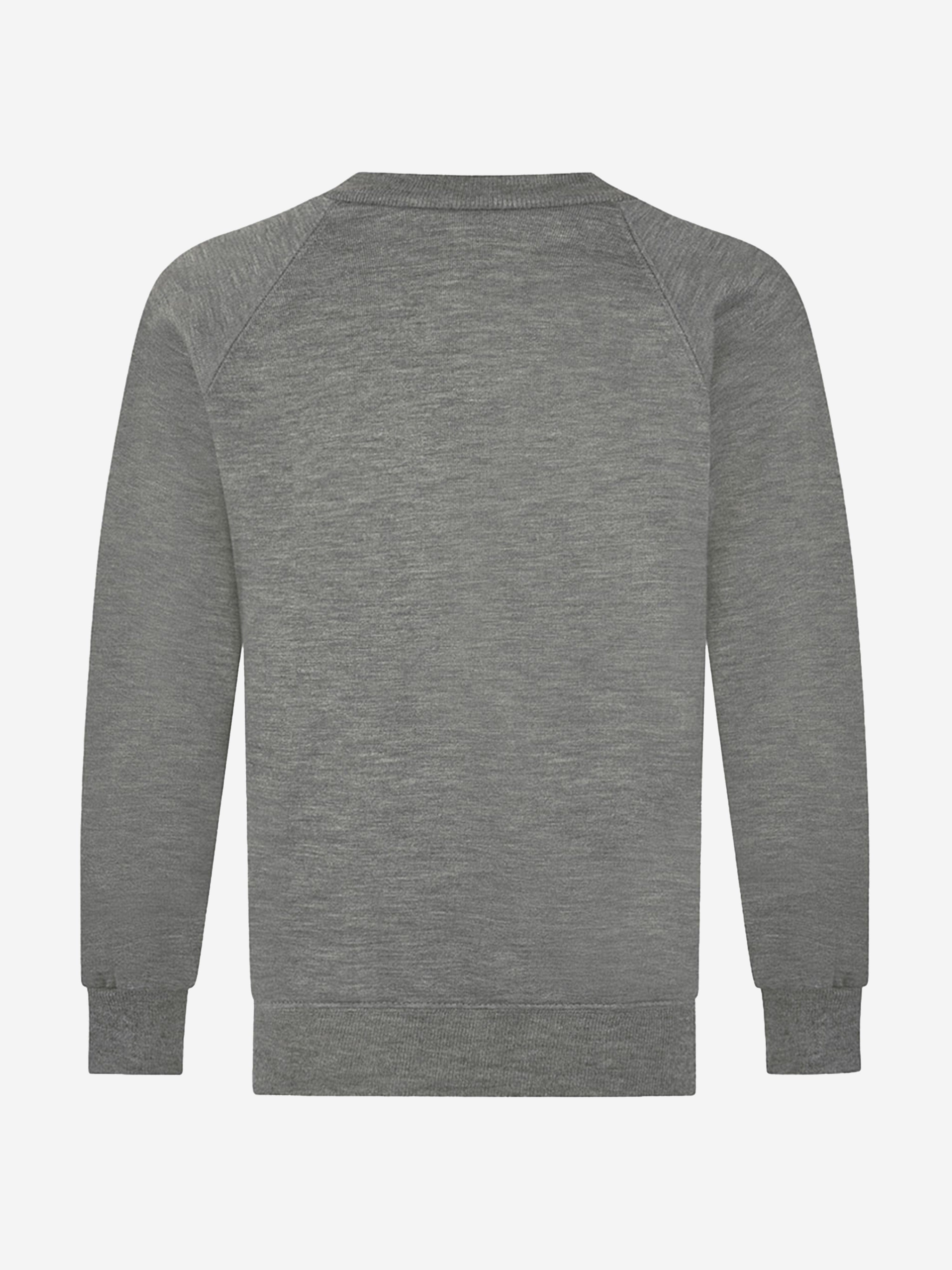 Zeco Kids School V-Neck Sweatshirt in Grey