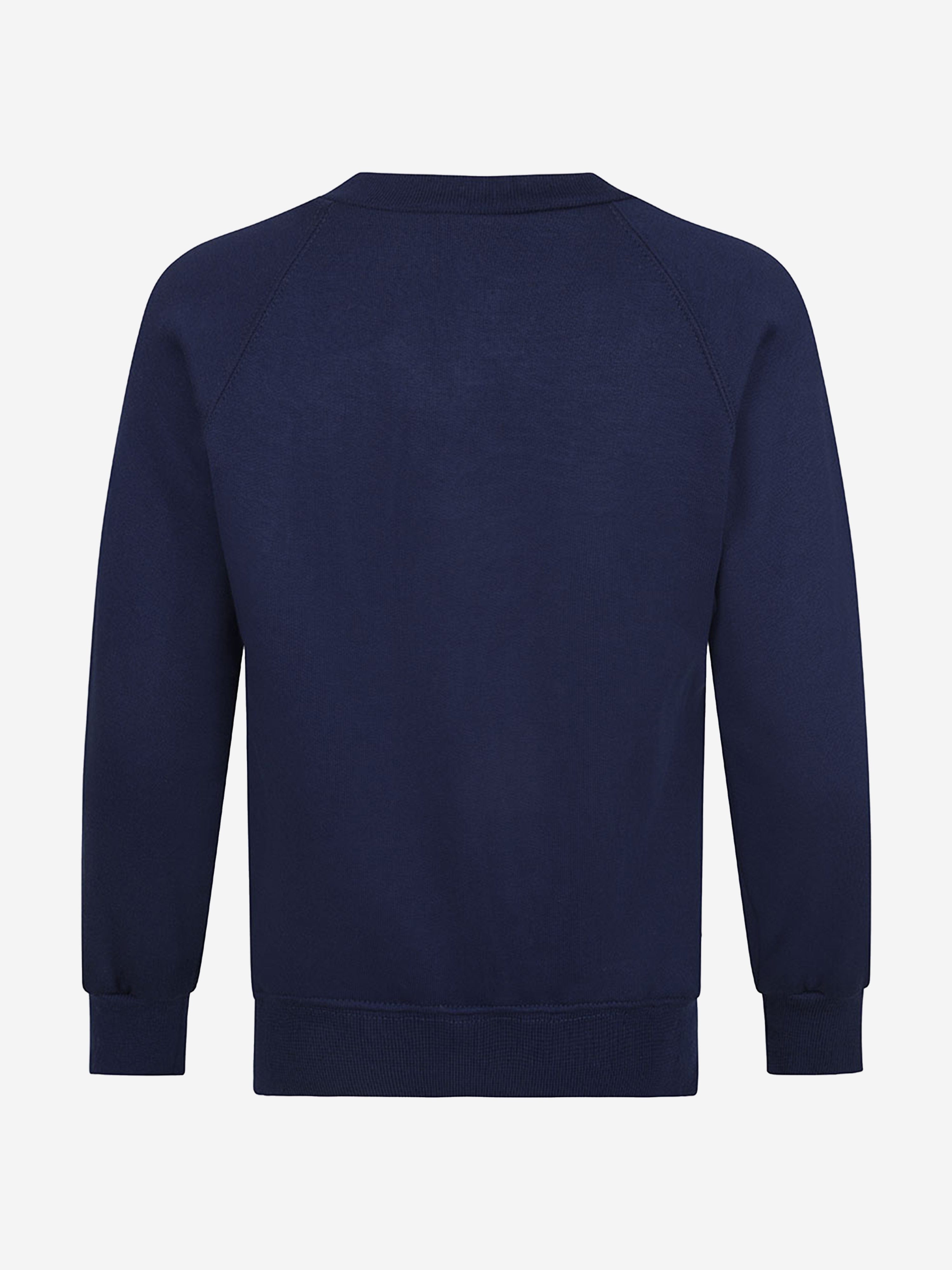 Zeco Kids School V-Neck Sweatshirt in Navy