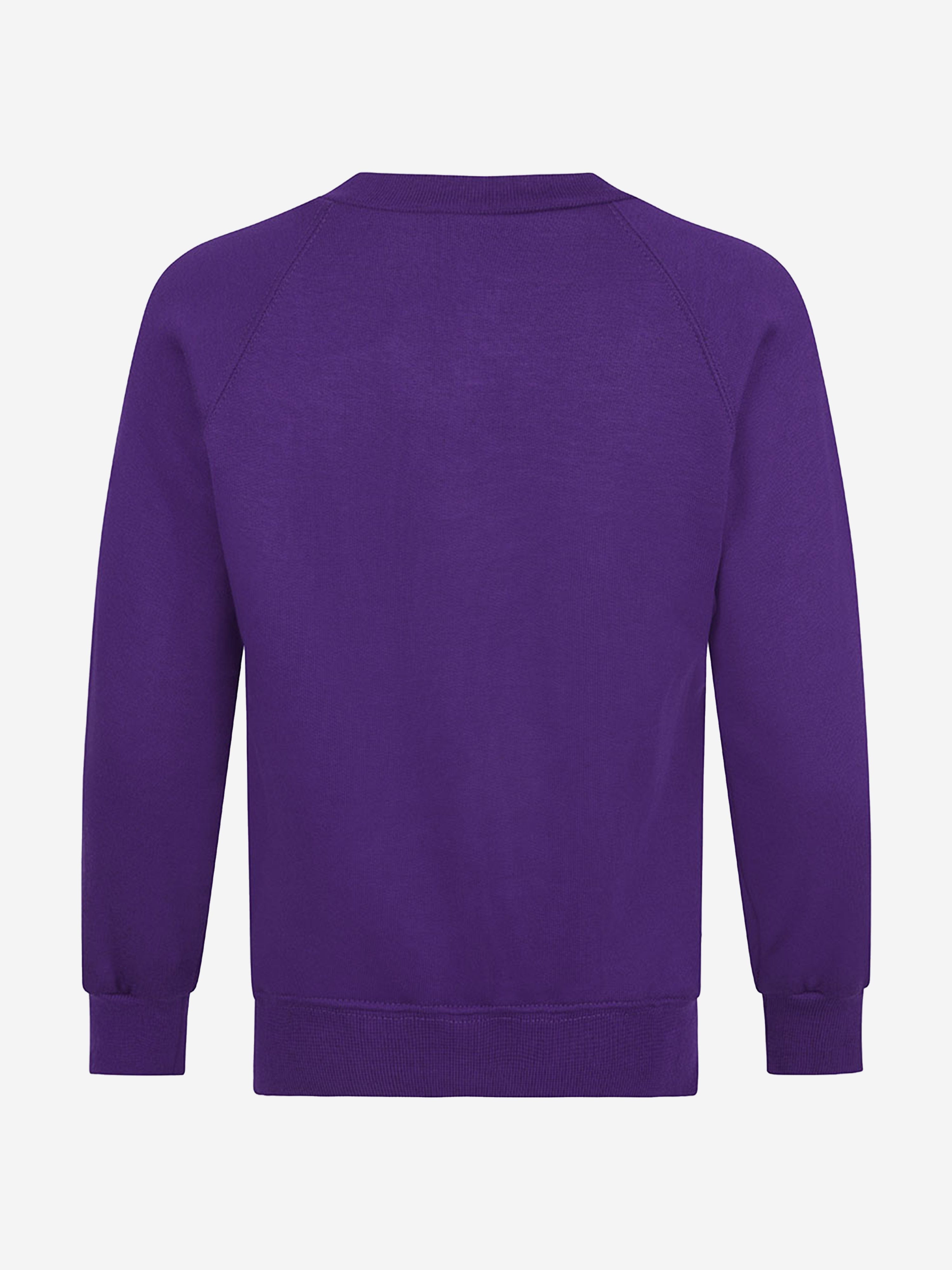 Zeco Kids School V-Neck Sweatshirt in Purple