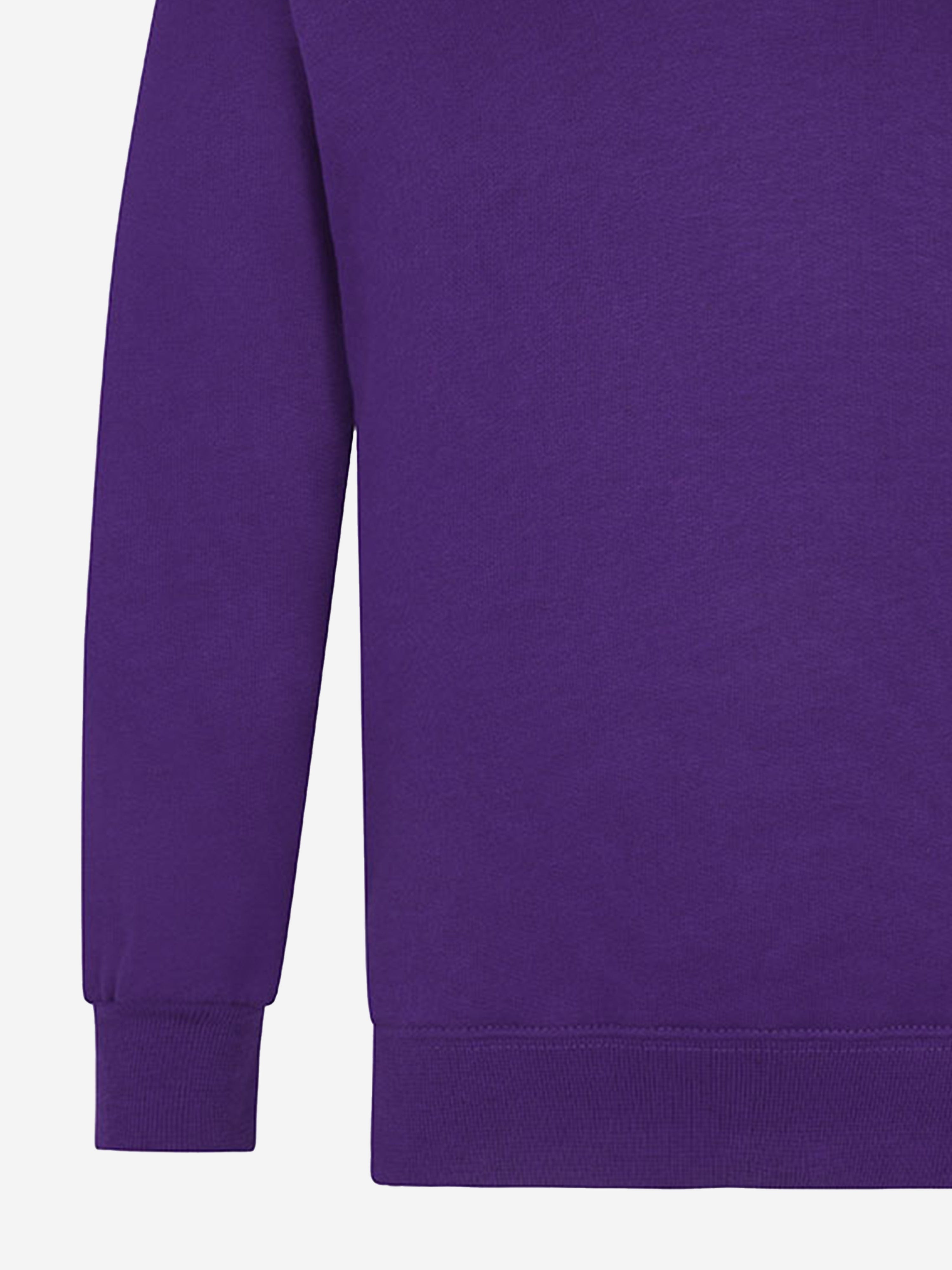 Zeco Kids School V-Neck Sweatshirt in Purple