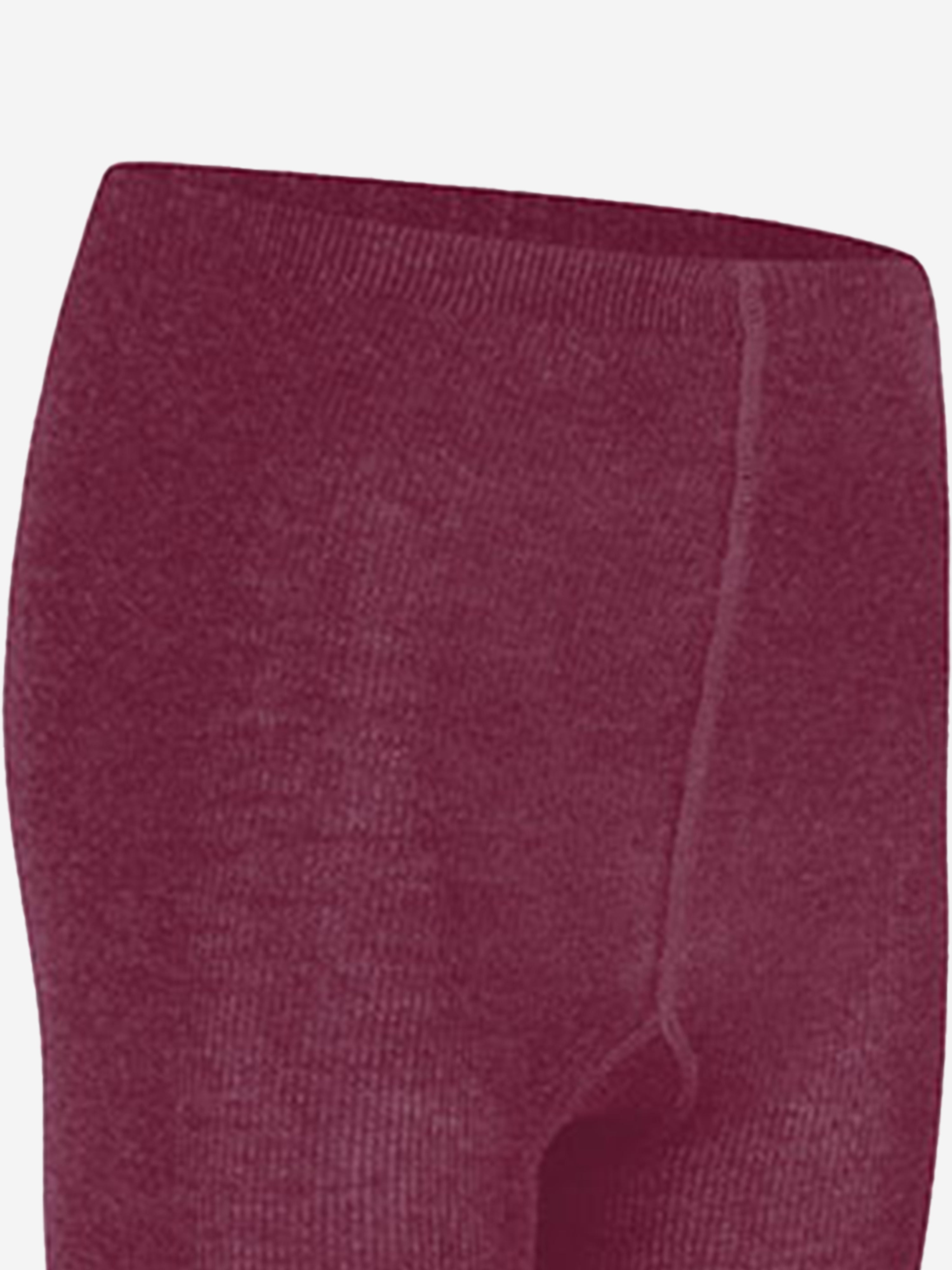 Zeco Girls School Cotton Tights (2 Pack) in Purple