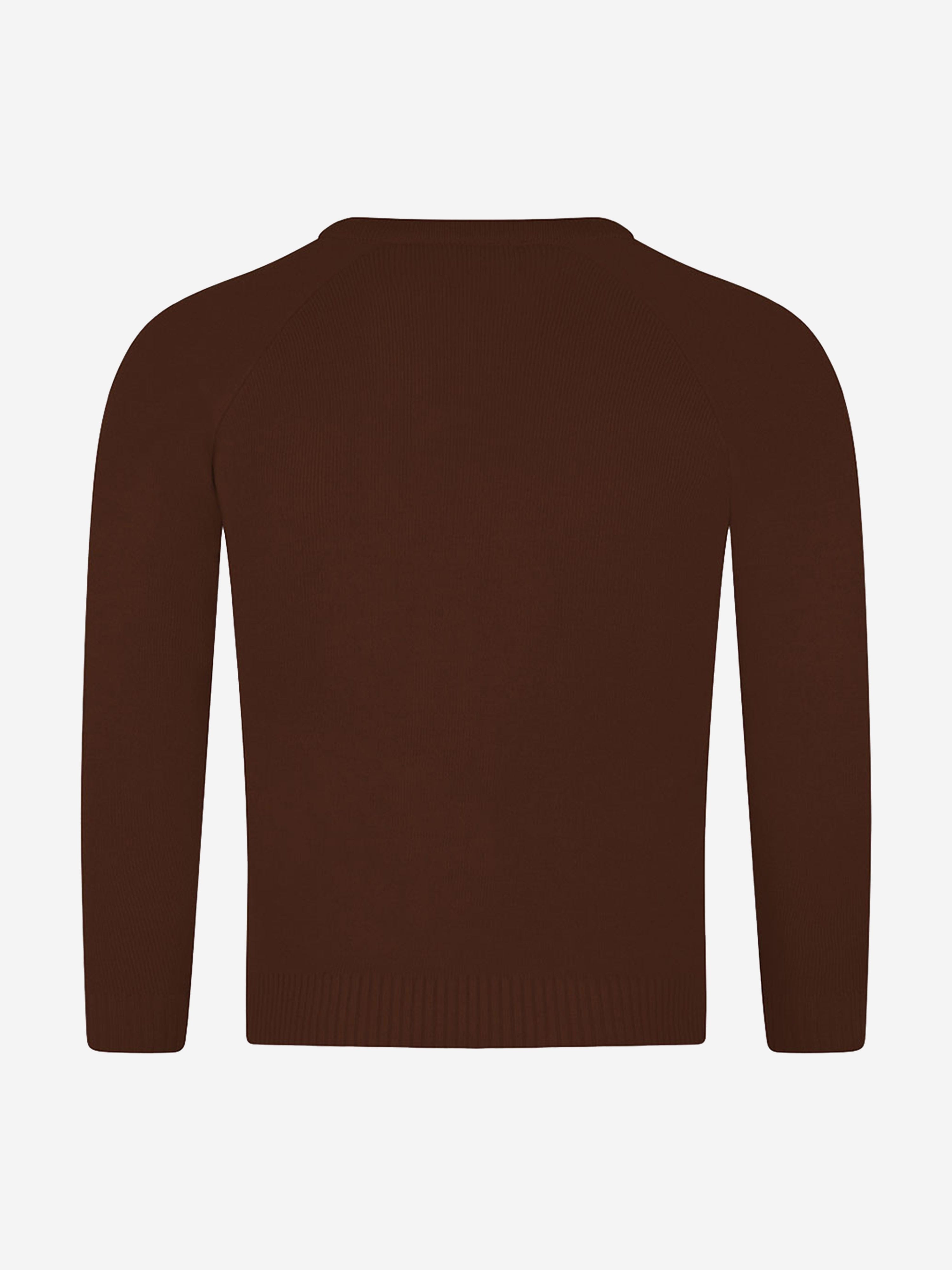 Zeco Kids School Knitted V-Neck Jumper in Brown