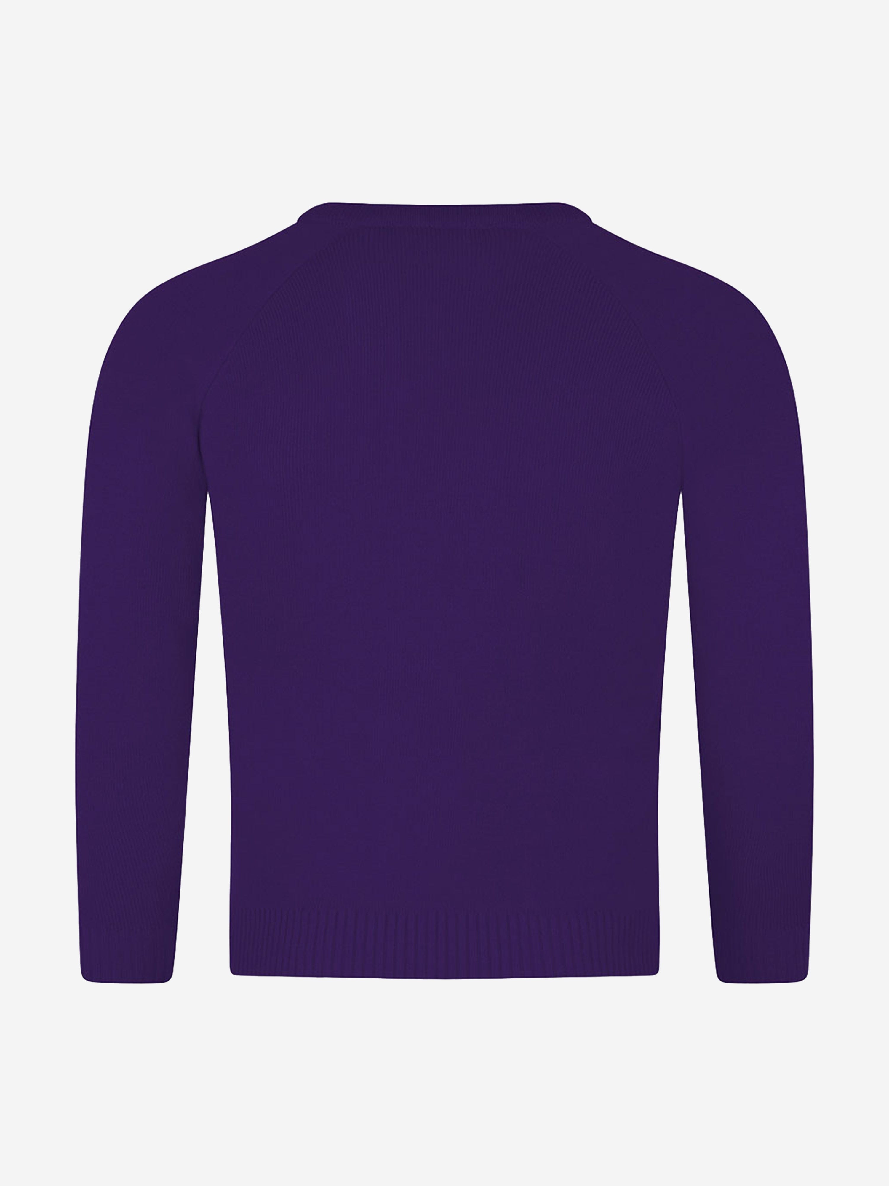 Zeco Kids School Knitted V-Neck Jumper in Purple