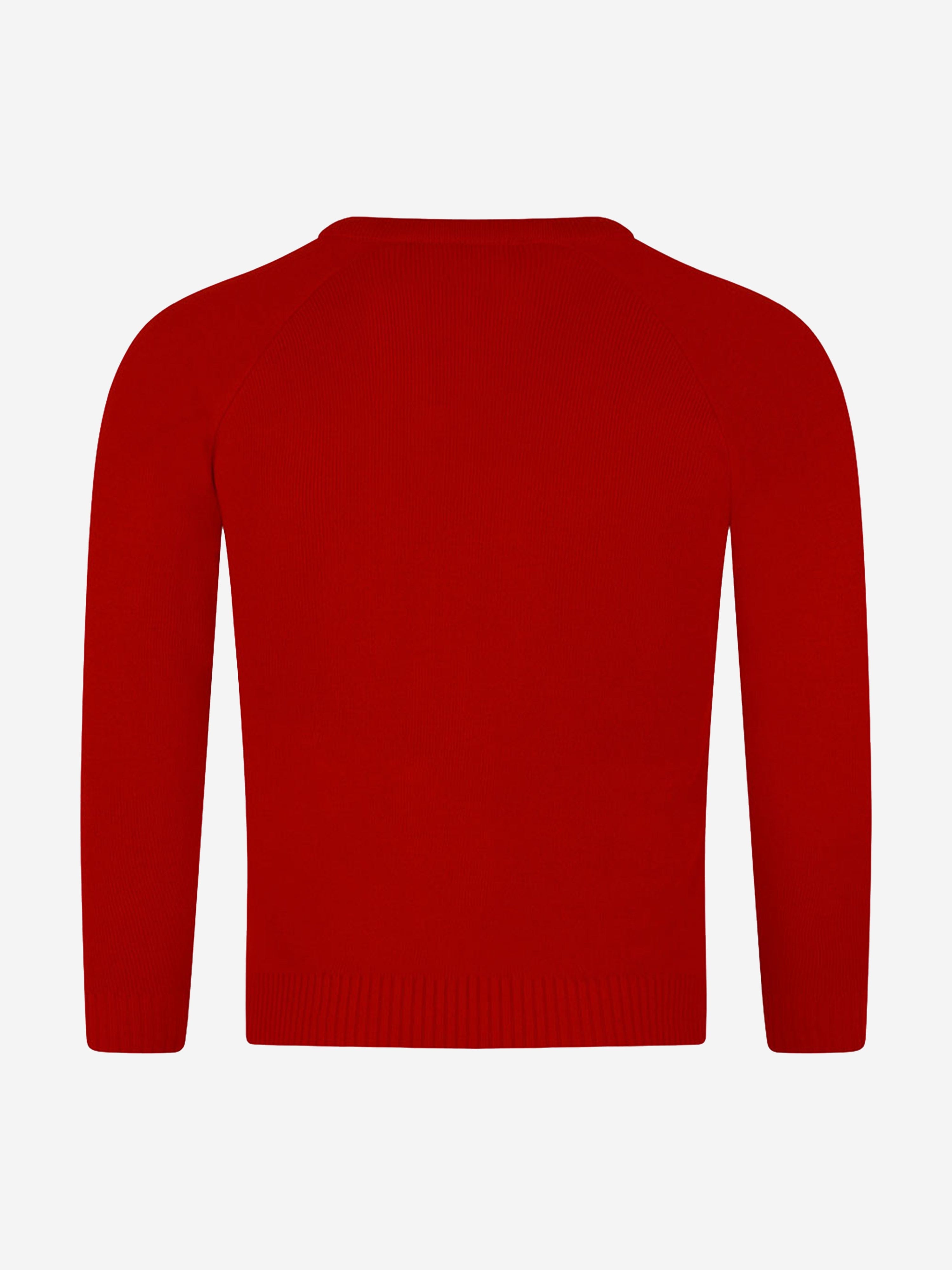 Zeco Kids School Knitted V-Neck Jumper in Red