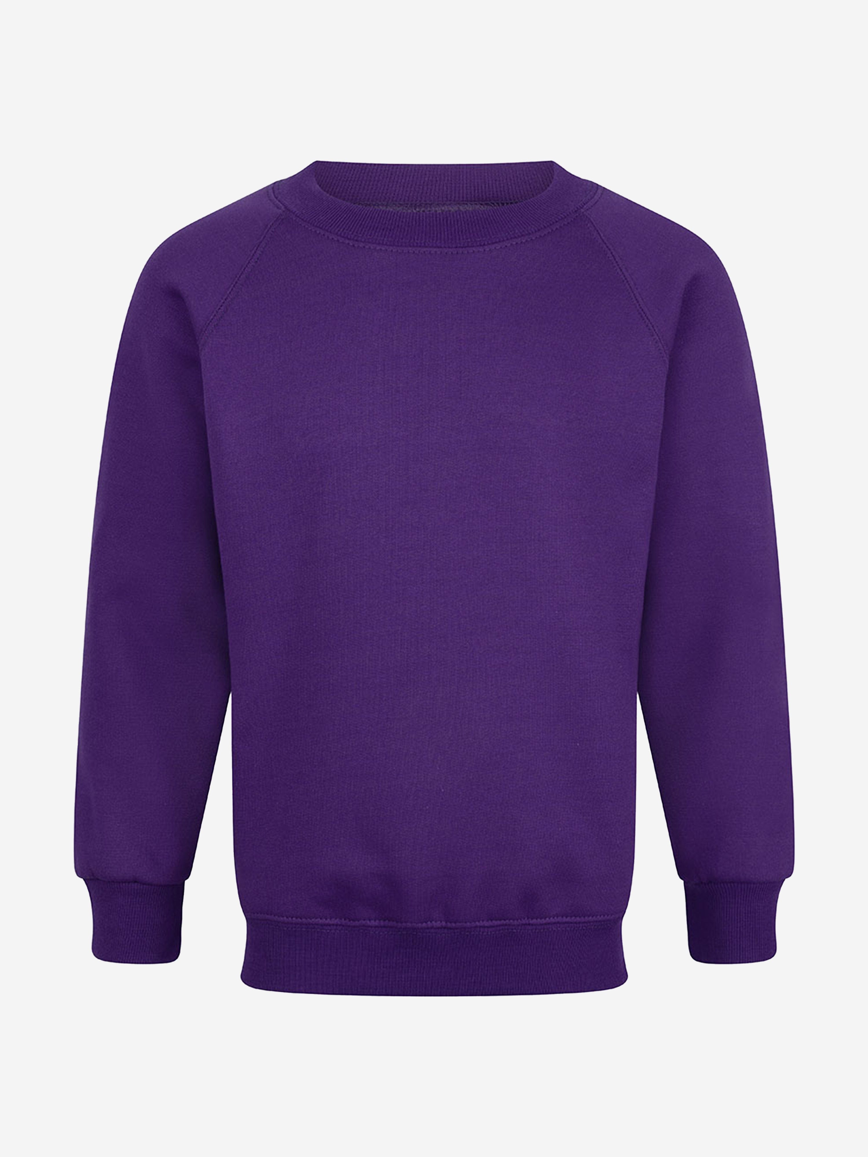 Zeco Kids School Crew Neck Sweatshirt in Purple