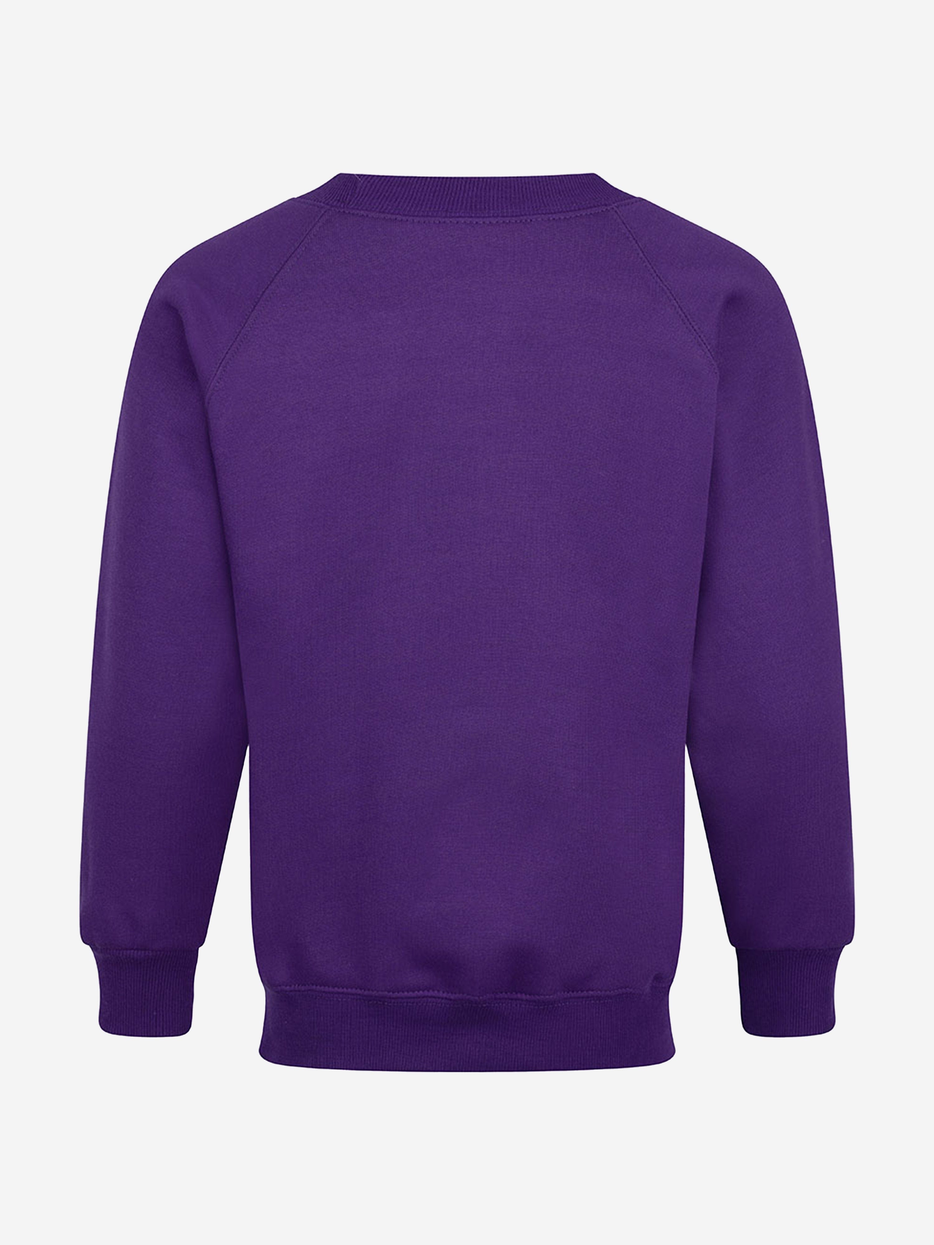 Zeco Kids School Crew Neck Sweatshirt in Purple